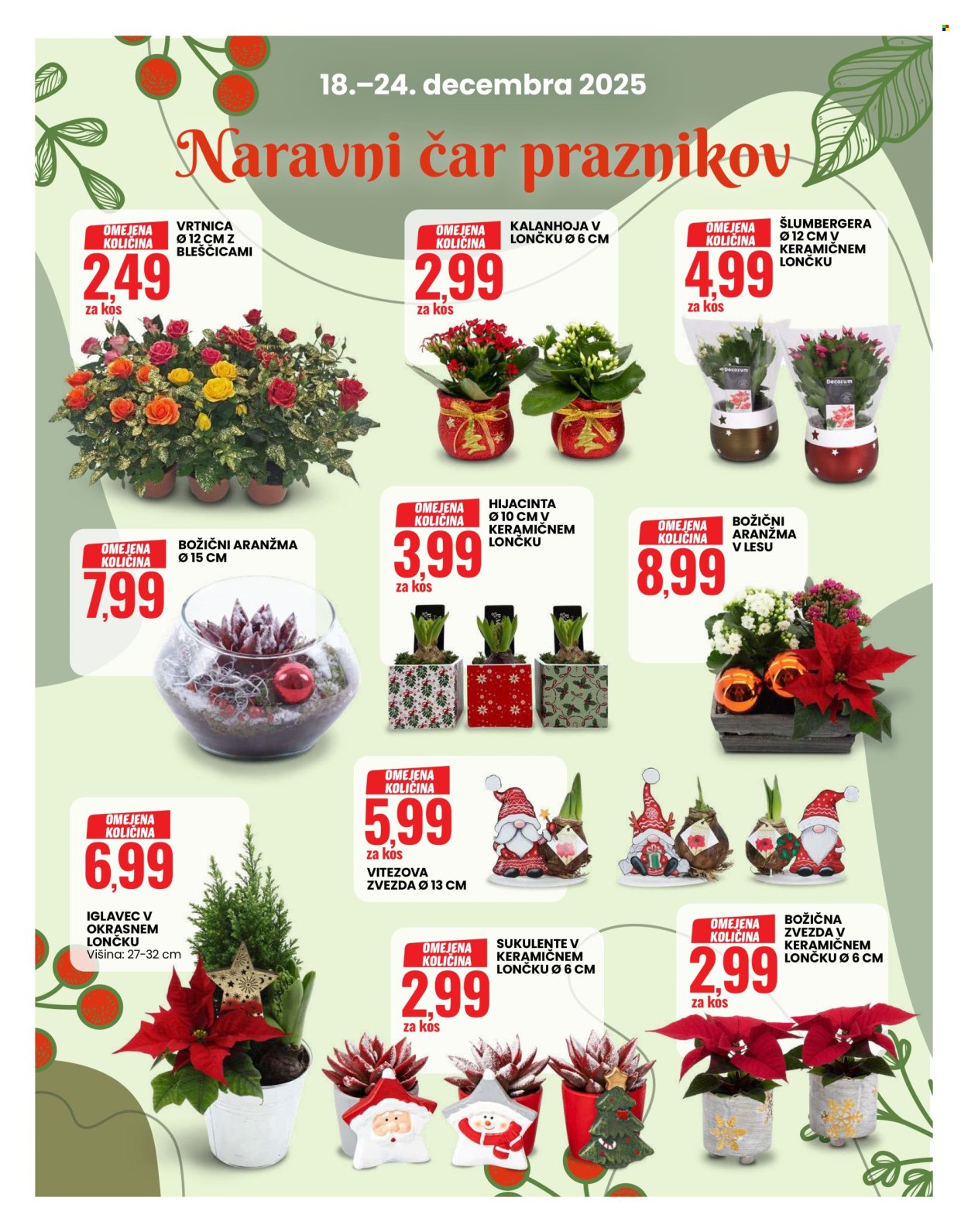 EuroSpin katalog - 18.12.2025 - 24.12.2025. Stran 7
