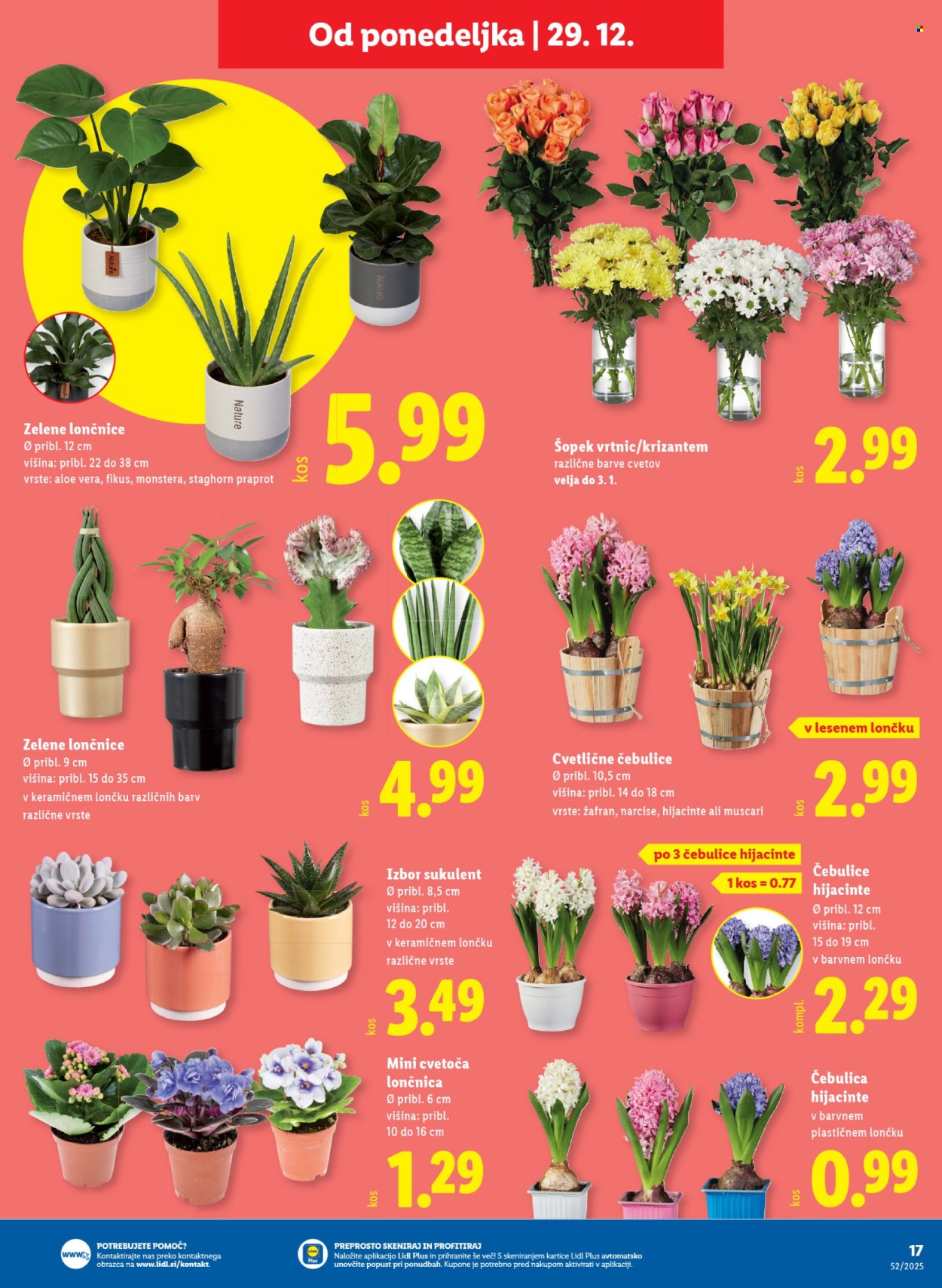 Lidl katalog - 23.12.2025 - 31.12.2025. Stran 17