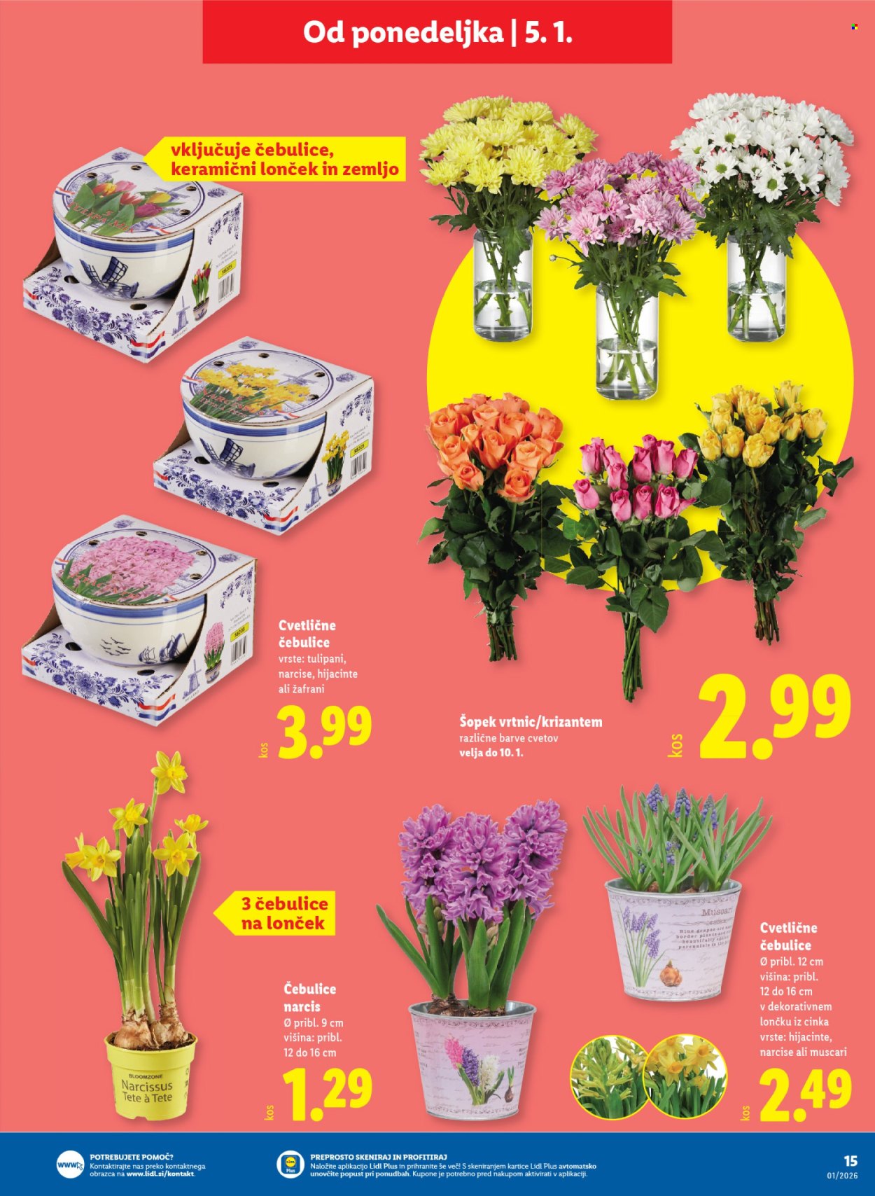 Lidl katalog - 30.12.2025 - 7.1.2026. Stran 19