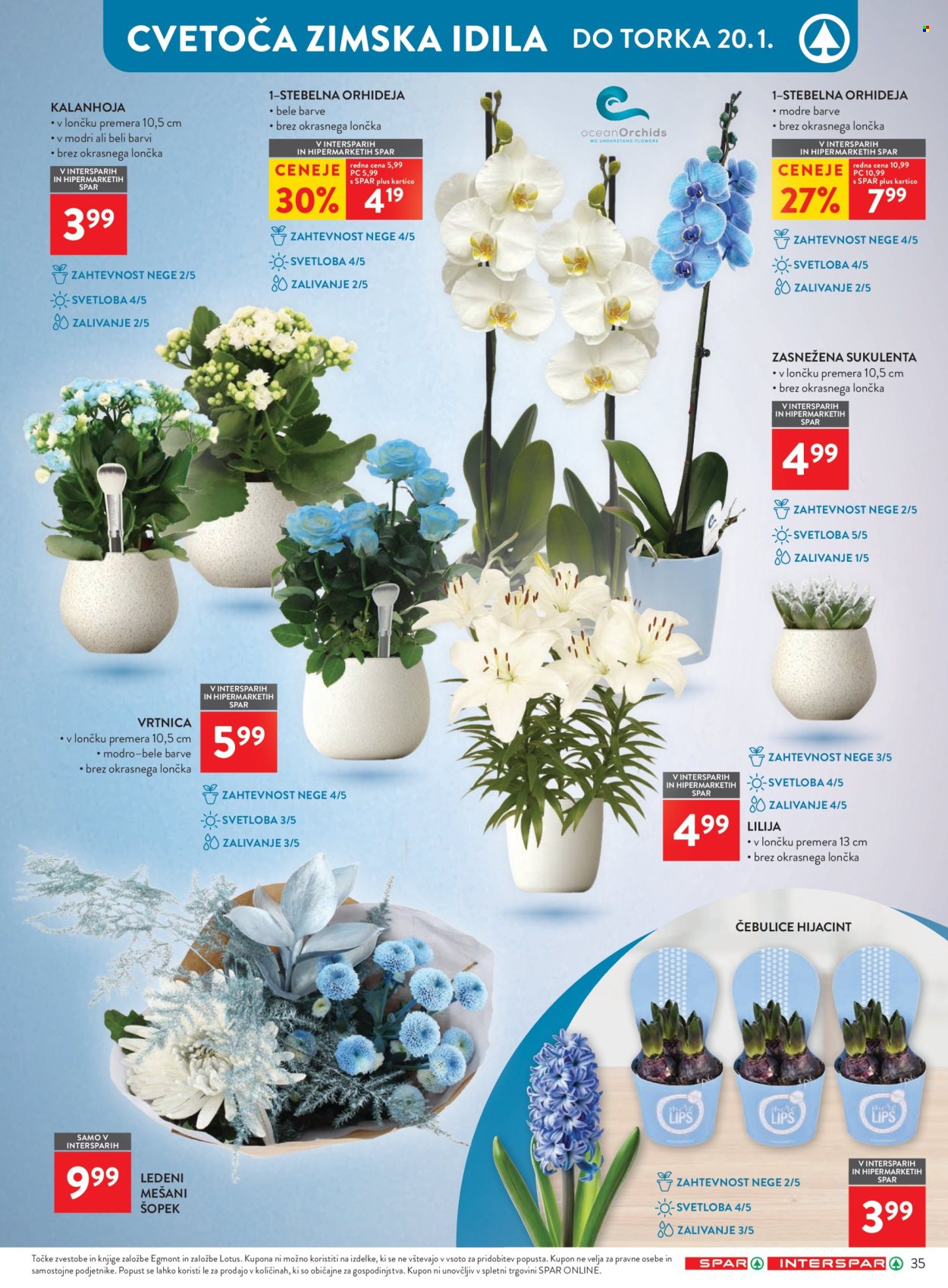 SPAR katalog - 7.1.2026 - 31.1.2026. Stran 40