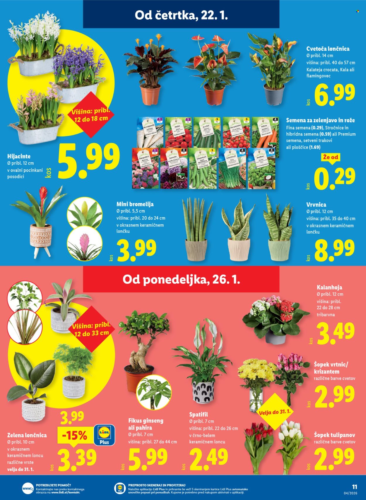 Lidl katalog - 22.1.2026 - 28.1.2026. Stran 15