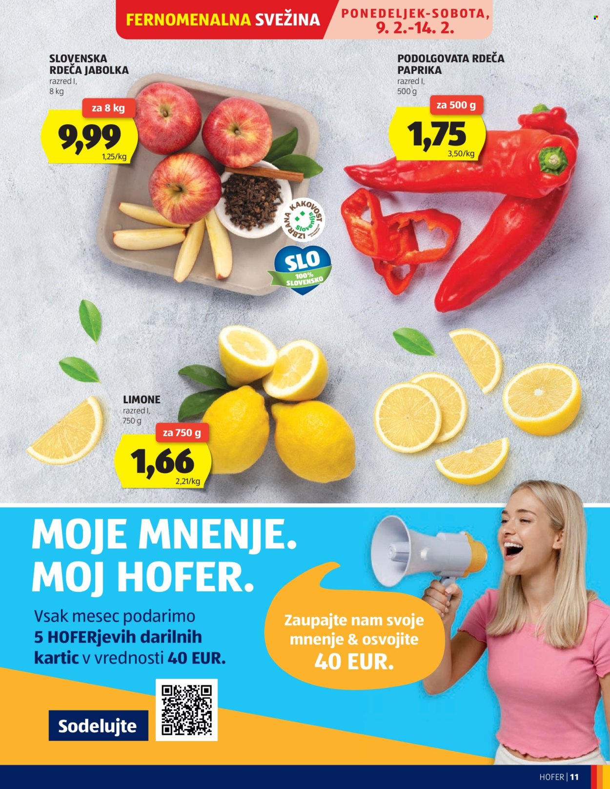 Hofer katalog - 4.2.2026 - 12.2.2026. Stran 11