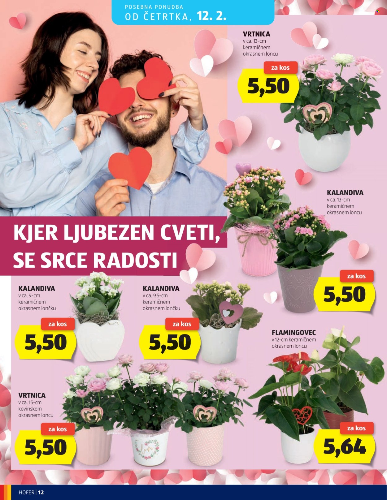 Hofer katalog - 4.2.2026 - 12.2.2026. Stran 12