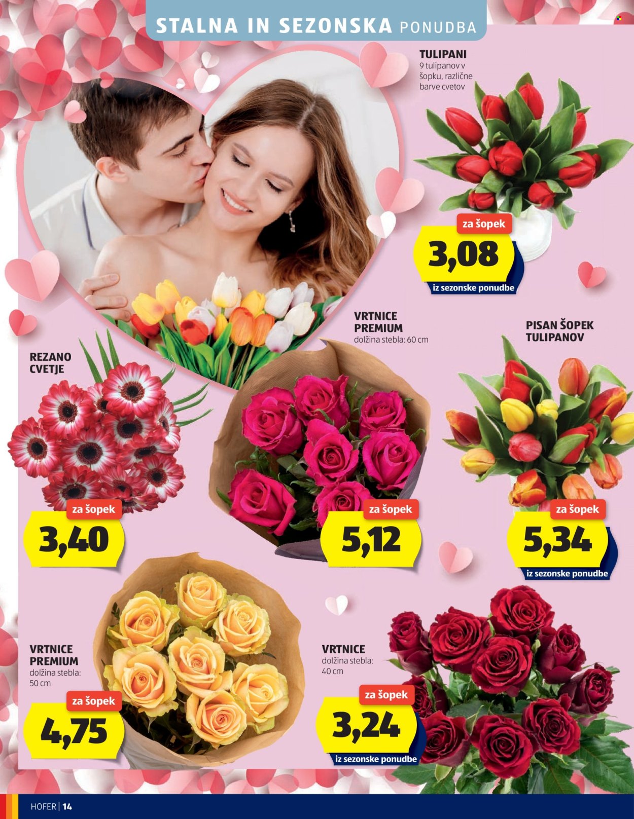 Hofer katalog - 4.2.2026 - 12.2.2026. Stran 14