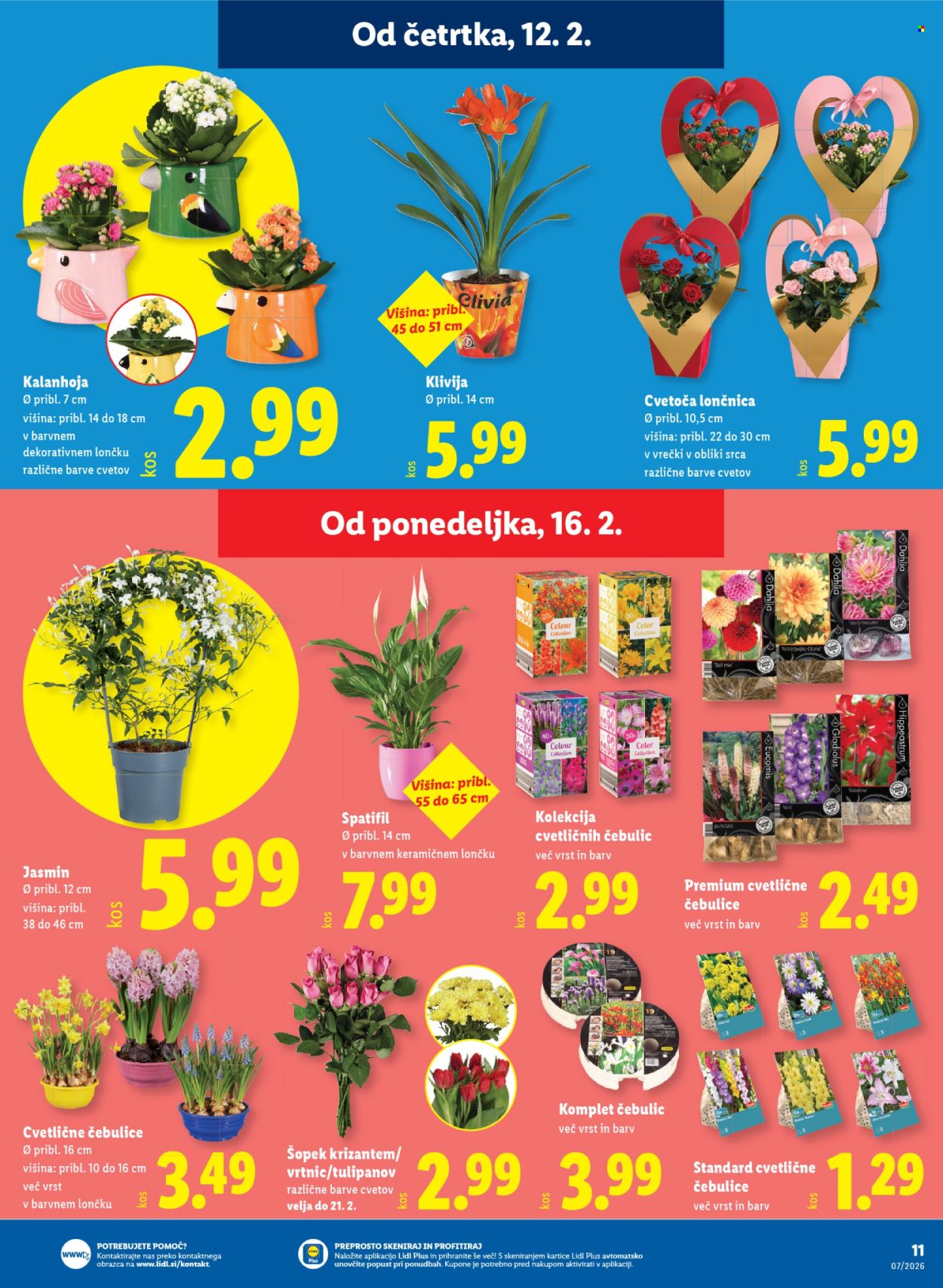Lidl katalog - 12.2.2026 - 18.2.2026. Stran 17