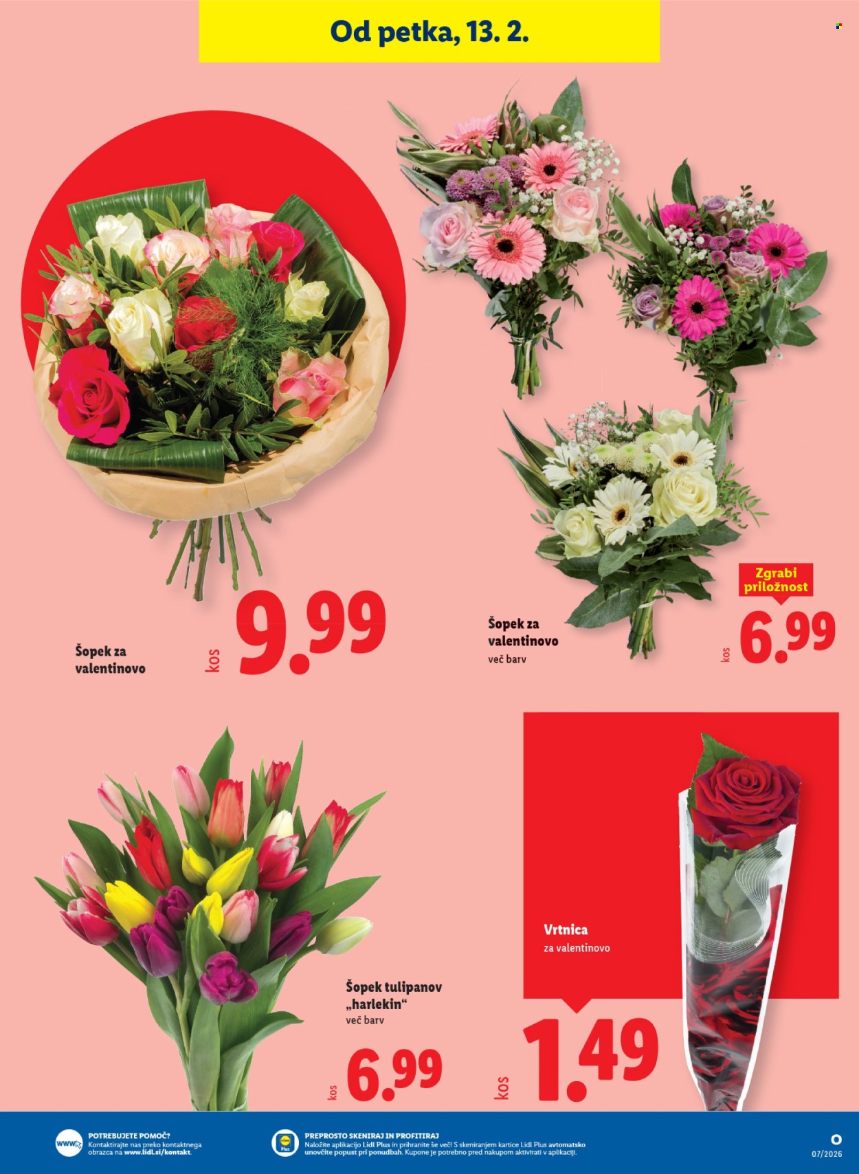 Lidl katalog - 12.2.2026 - 18.2.2026. Stran 19