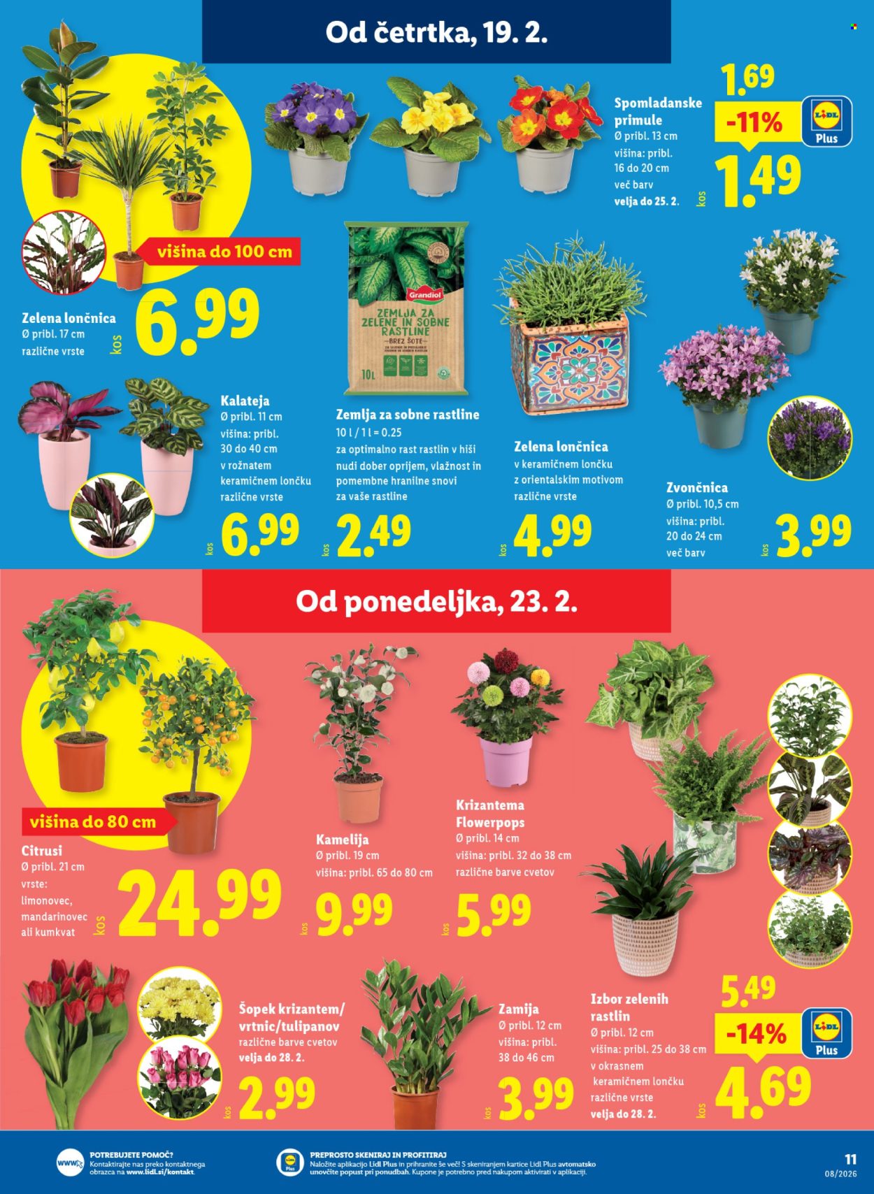 Lidl katalog - 19.2.2026 - 25.2.2026. Stran 23