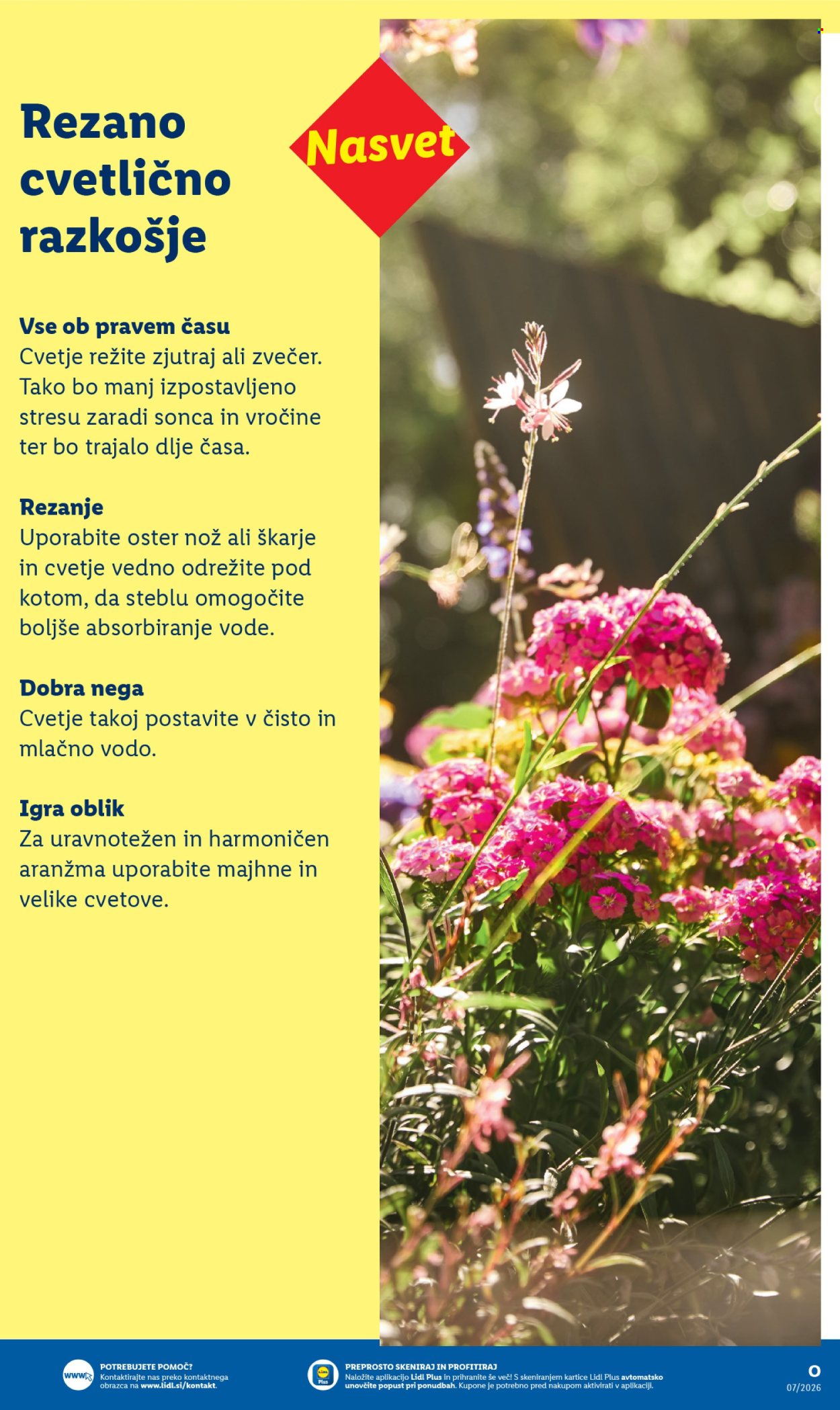 Lidl katalog. Stran 11