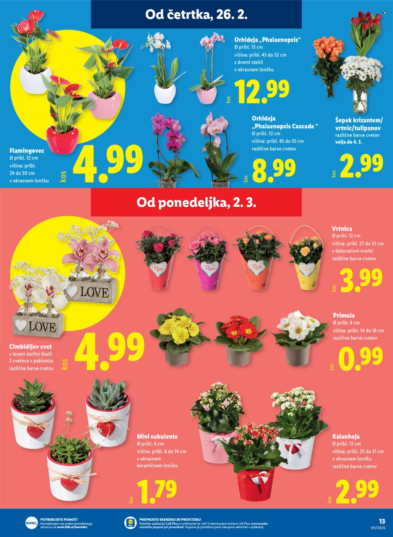 Lidl katalog - 26.2.2026 - 4.3.2026. Stran 21