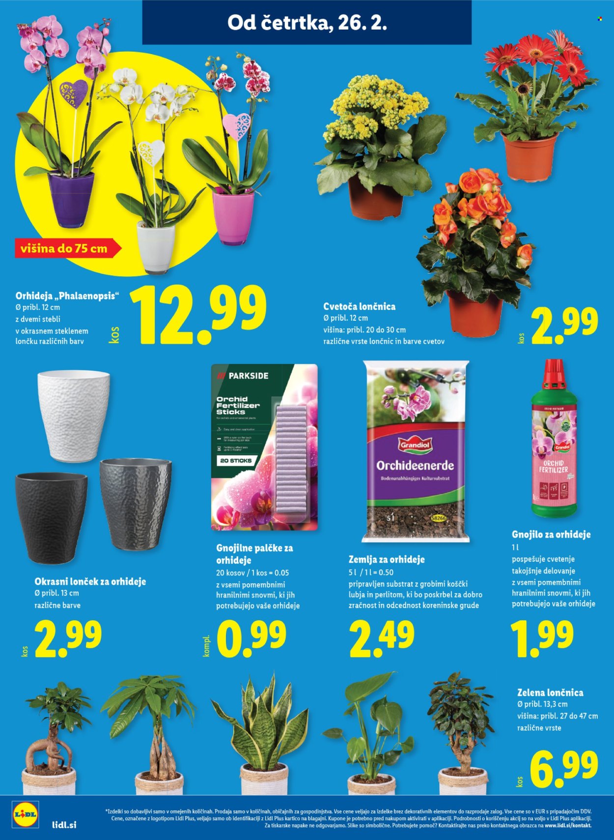 Lidl katalog - 26.2.2026 - 4.3.2026. Stran 22