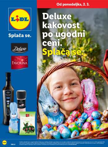 Lidl katalog.