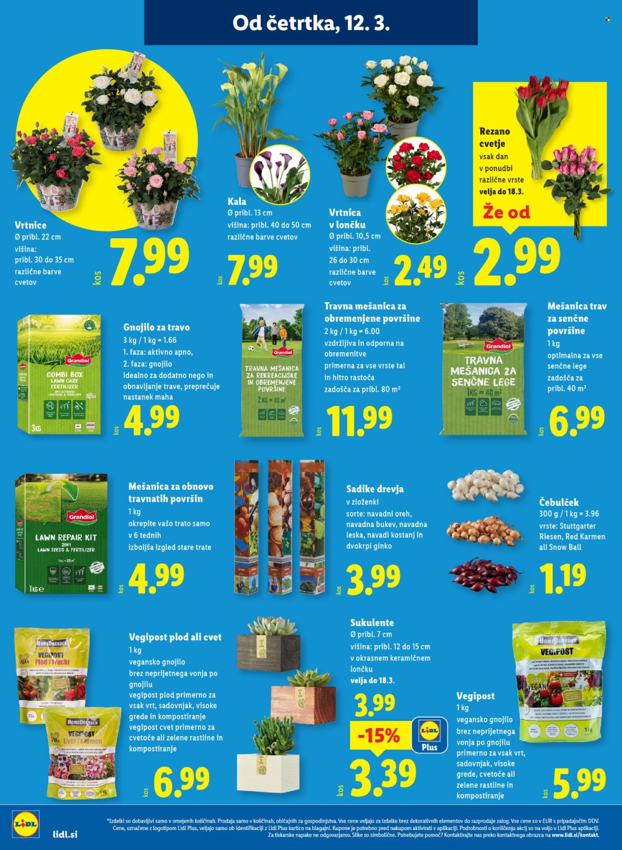 Lidl katalog - 12.3.2026 - 18.3.2026. Stran 24