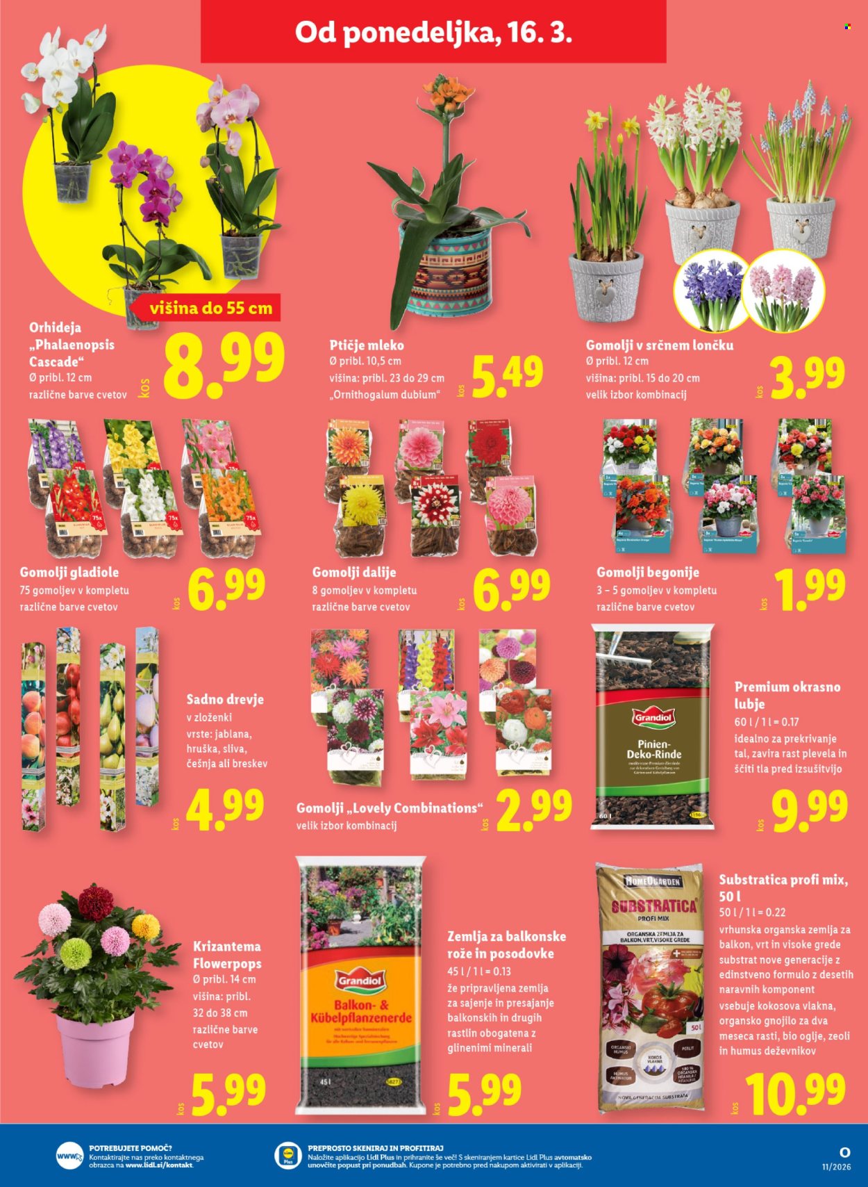 Lidl katalog - 12.3.2026 - 18.3.2026. Stran 25