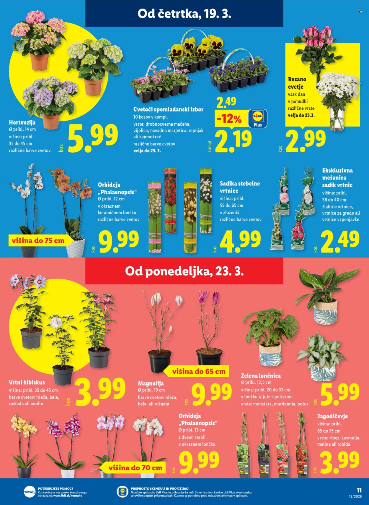 Lidl katalog - 19.3.2026 - 25.3.2026. Stran 19
