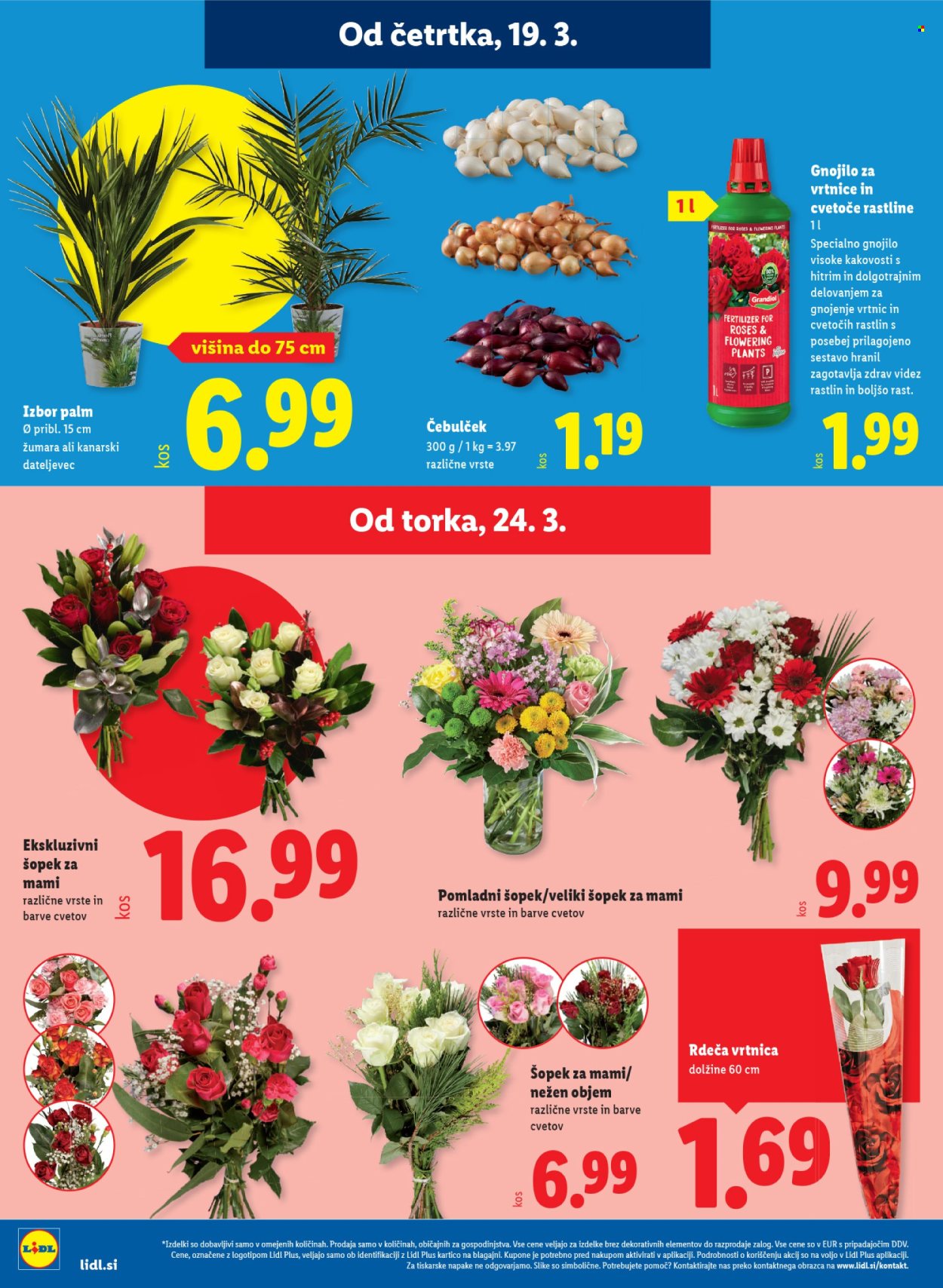 Lidl katalog - 19.3.2026 - 25.3.2026. Stran 20