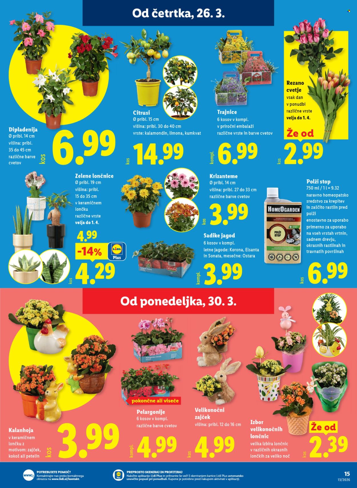 Lidl katalog - 26.3.2026 - 1.4.2026. Stran 25