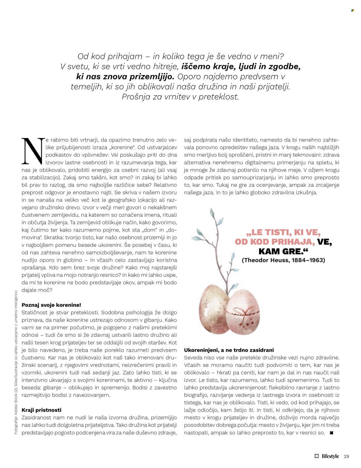 Müller katalog. Stran 29