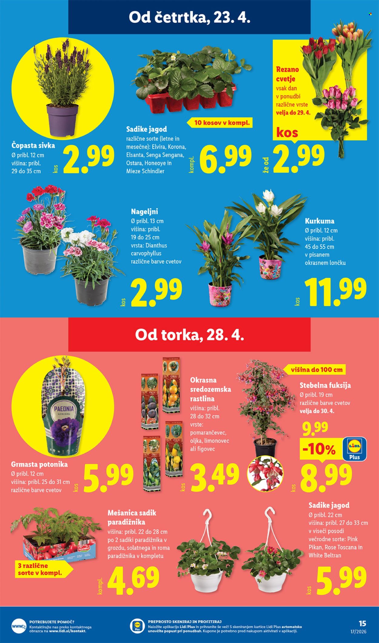 Lidl katalog - 23.4.2026 - 30.4.2026. Stran 25