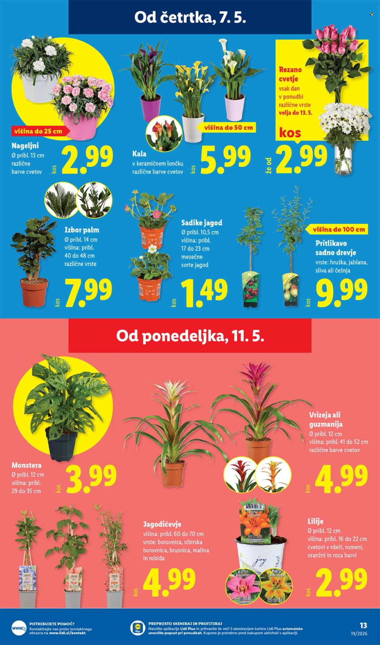 Lidl katalog - 7.5.2026 - 13.5.2026. Stran 25