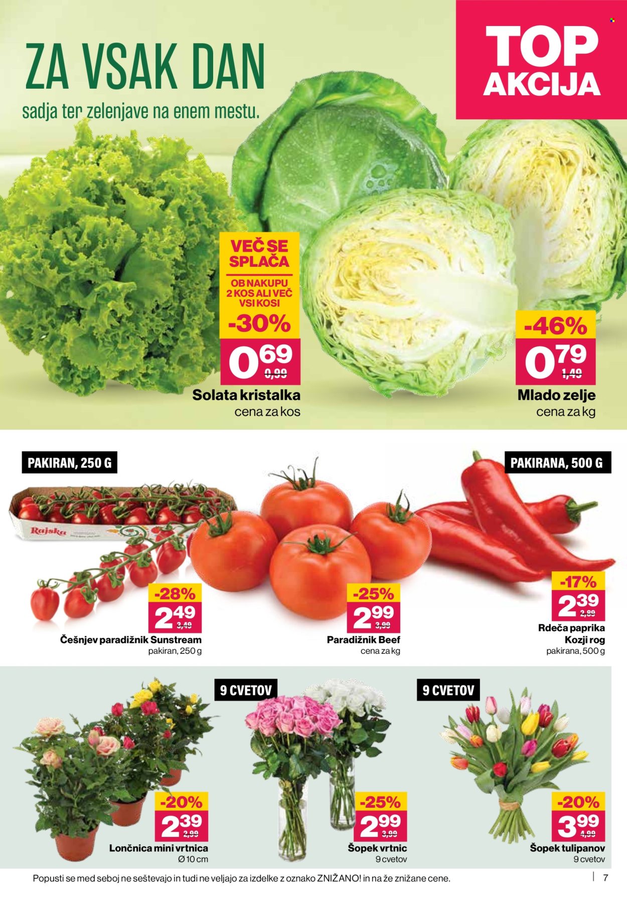 Mercator katalog - 7.5.2026 - 13.5.2026. Stran 7