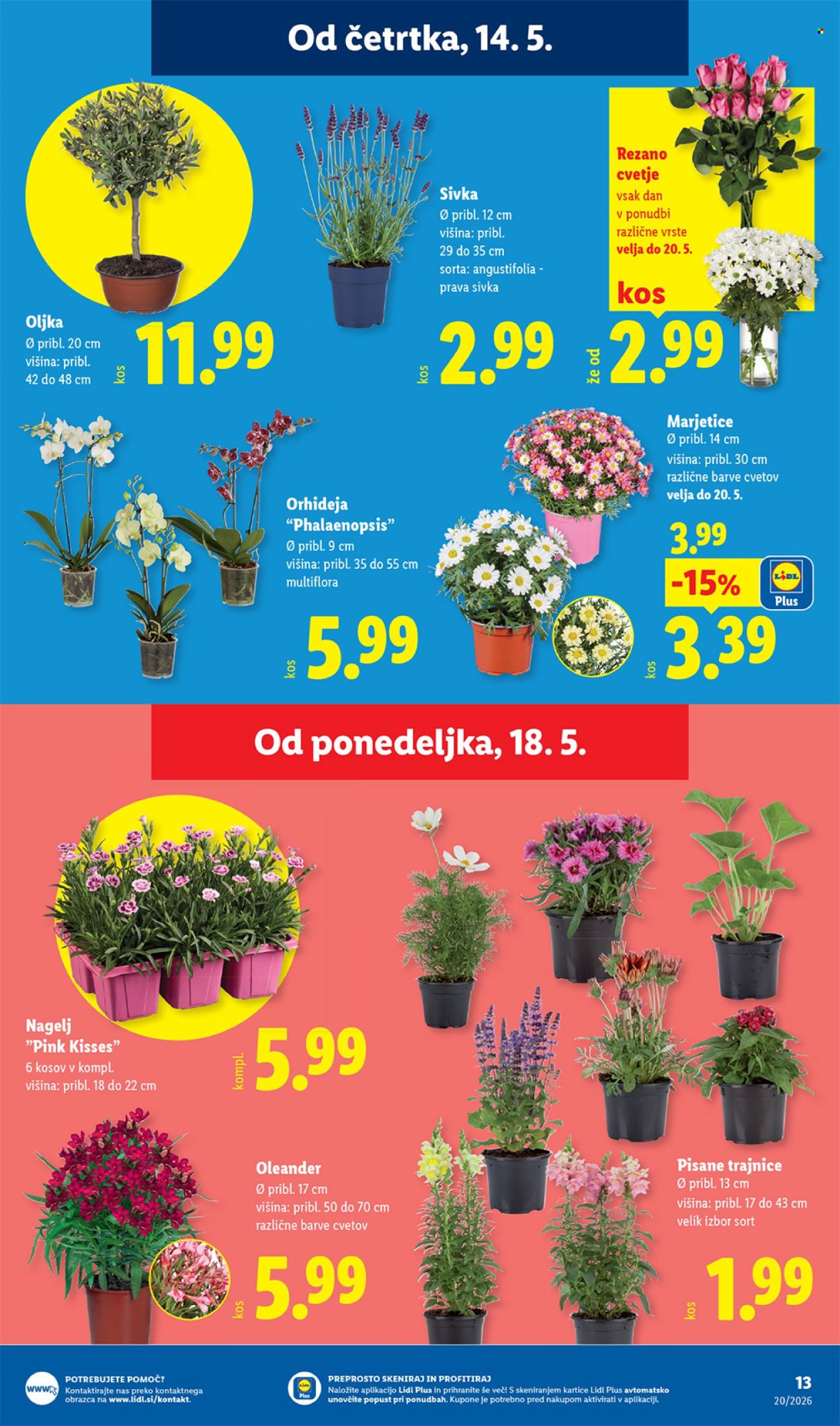 Lidl katalog - 14.5.2026 - 20.5.2026. Stran 33