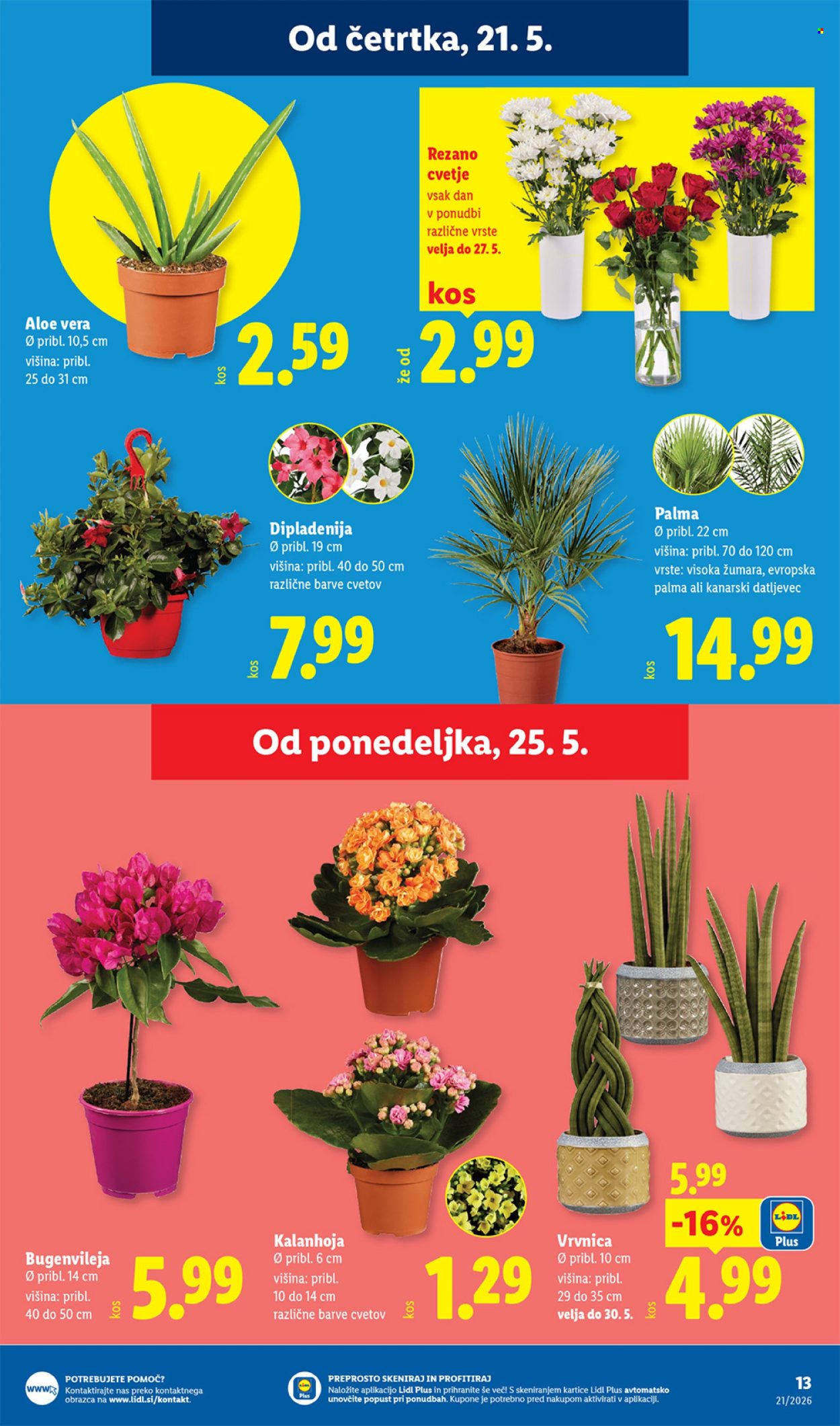 Lidl katalog - 21.5.2026 - 27.5.2026. Stran 25