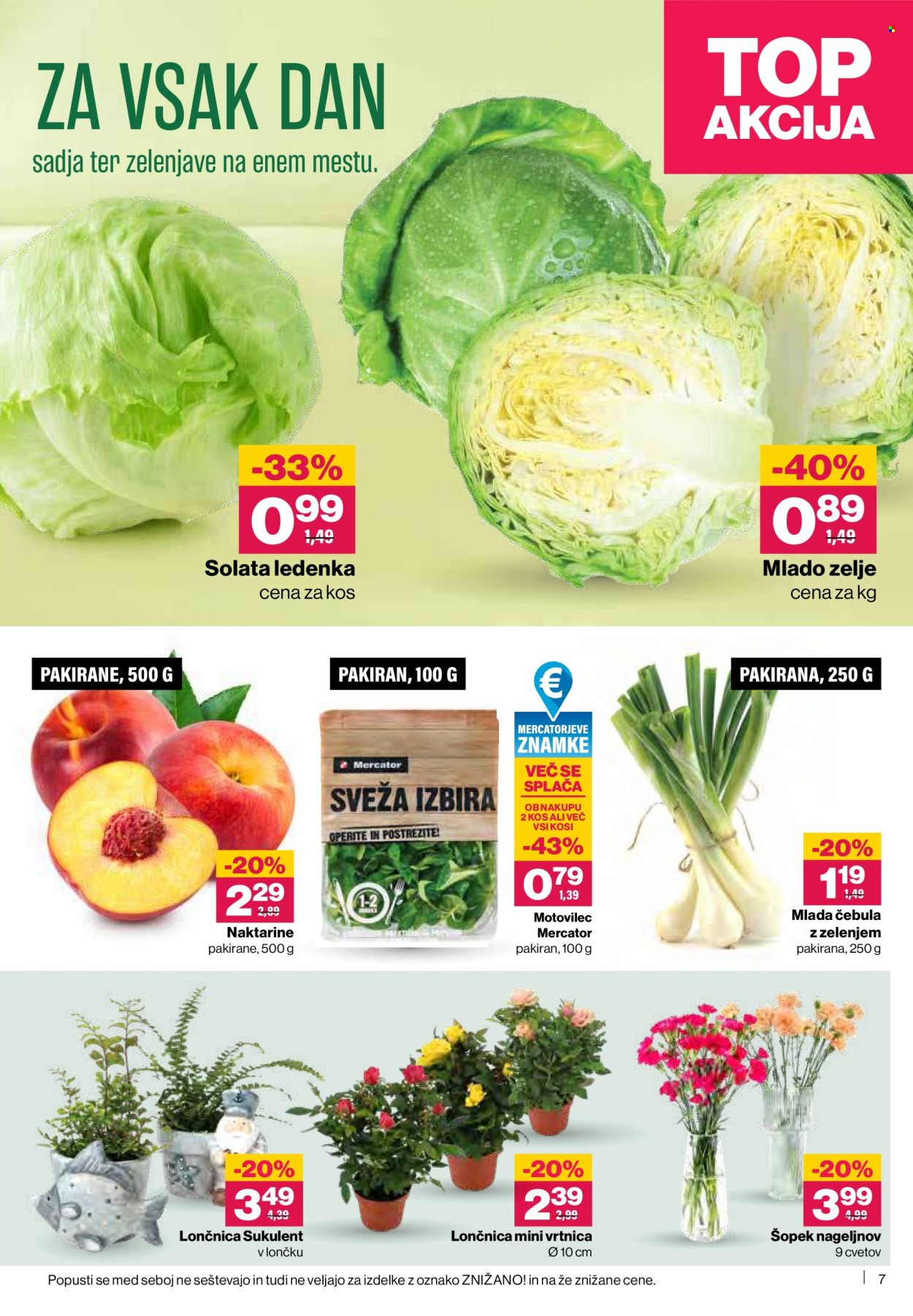 Mercator katalog - 21.5.2026 - 27.5.2026. Stran 7