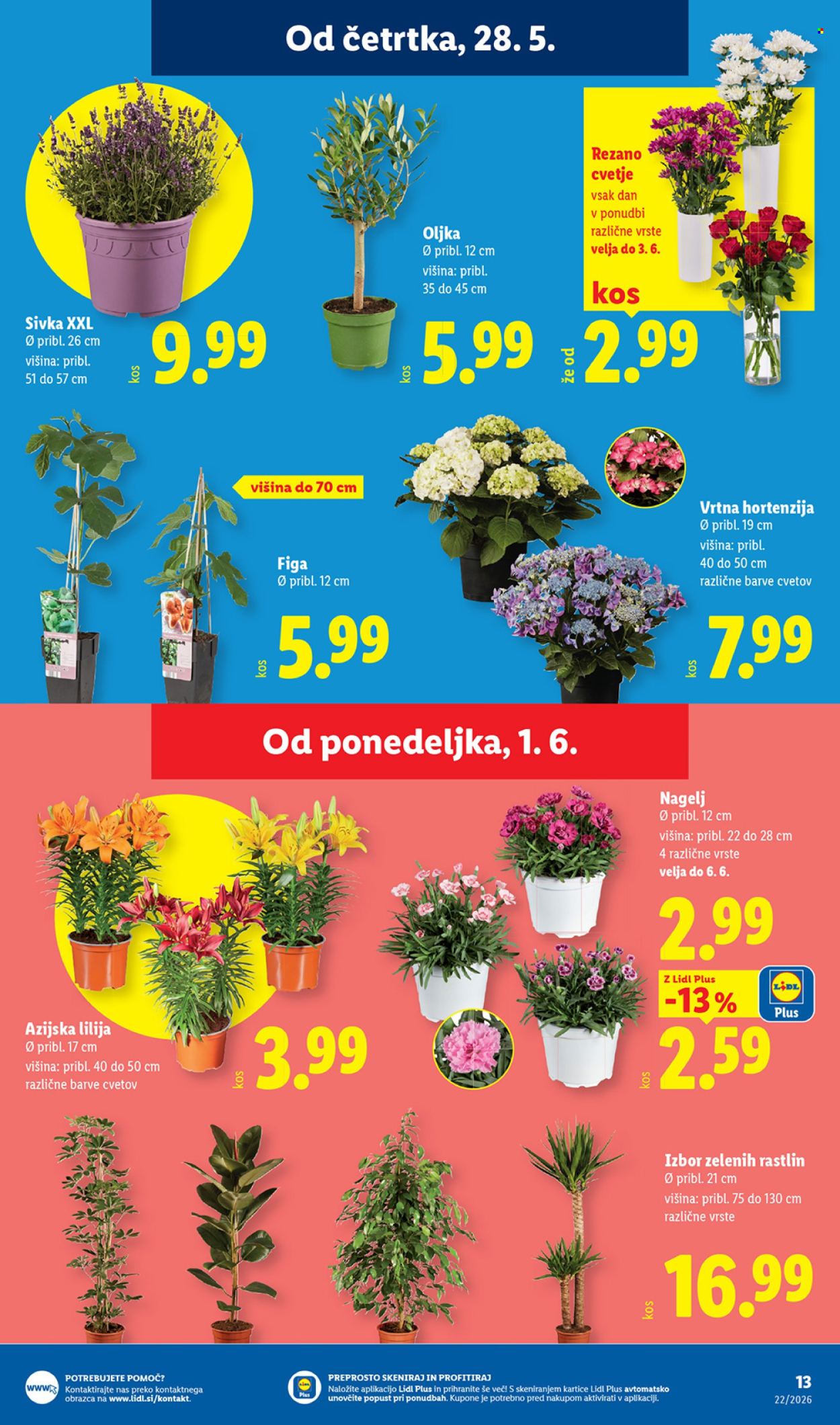 Lidl katalog - 28.5.2026 - 3.6.2026. Stran 25