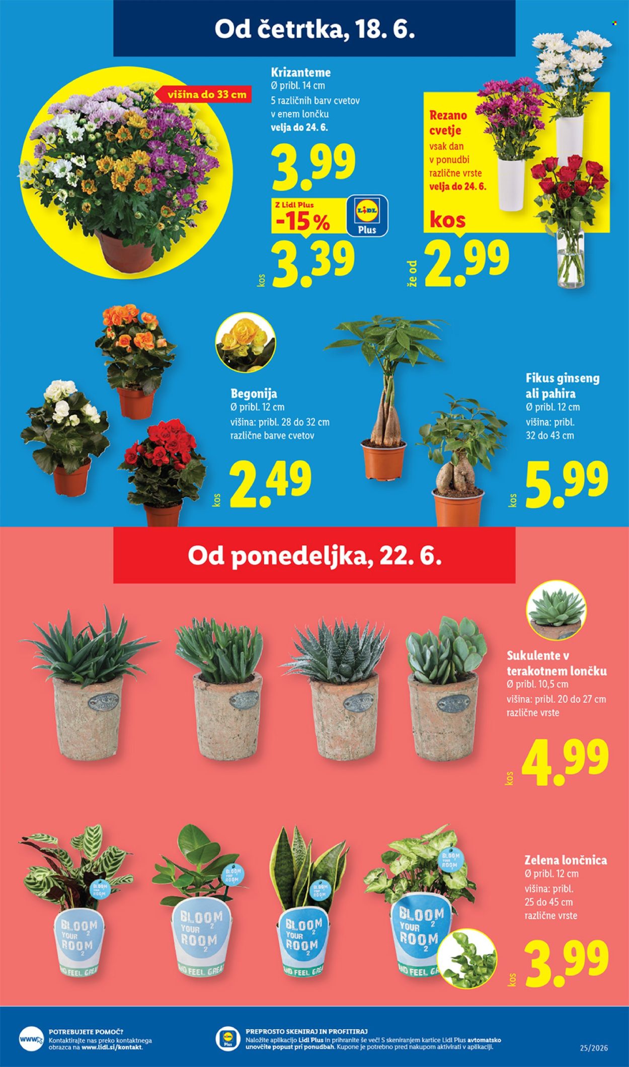 Lidl katalog - 18.6.2026 - 24.6.2026. Stran 23