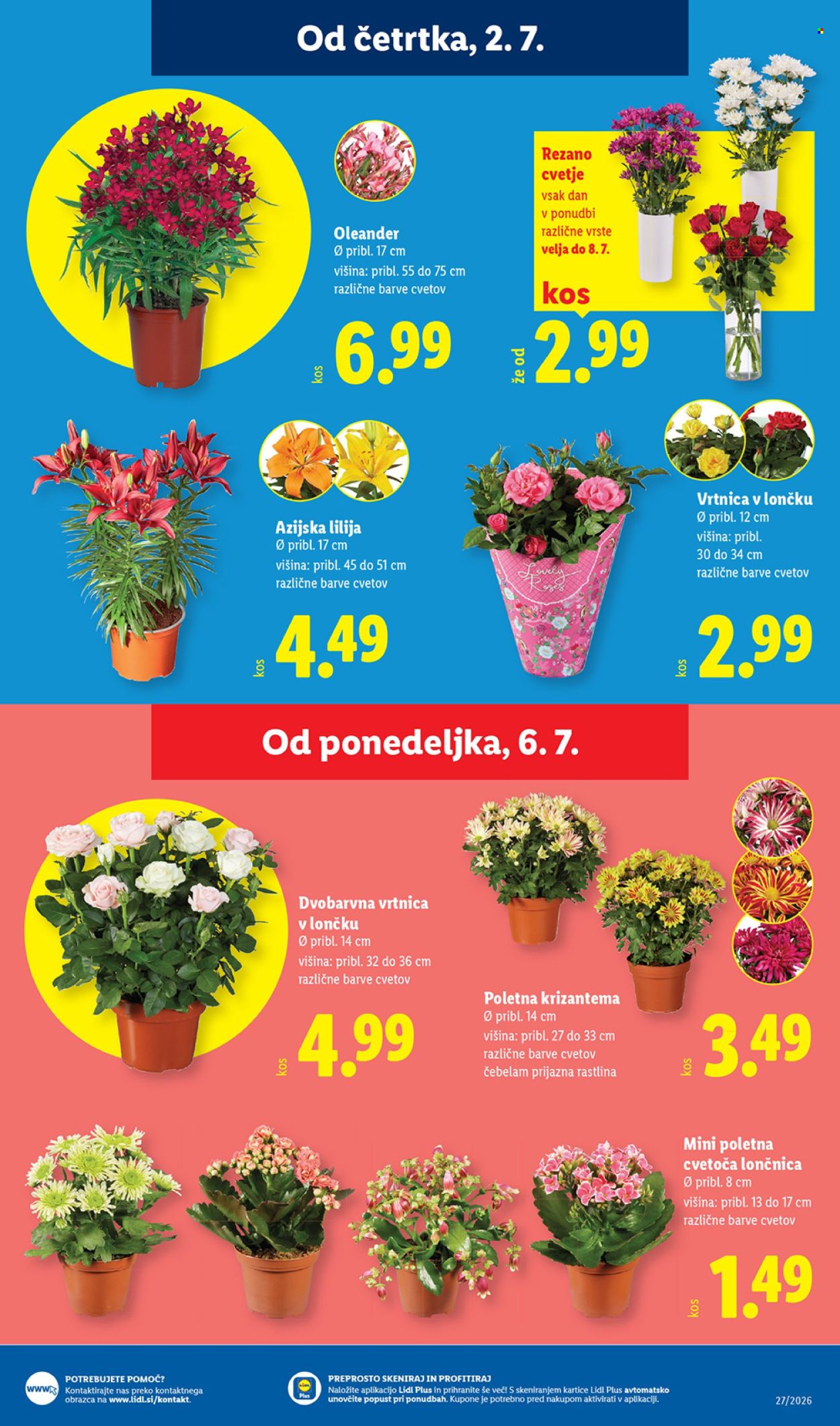 Lidl katalog - 2.7.2026 - 8.7.2026. Stran 27