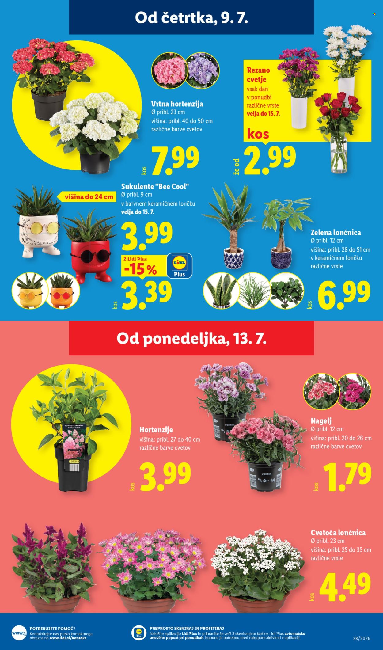 Lidl katalog - 9.7.2026 - 15.7.2026. Stran 23