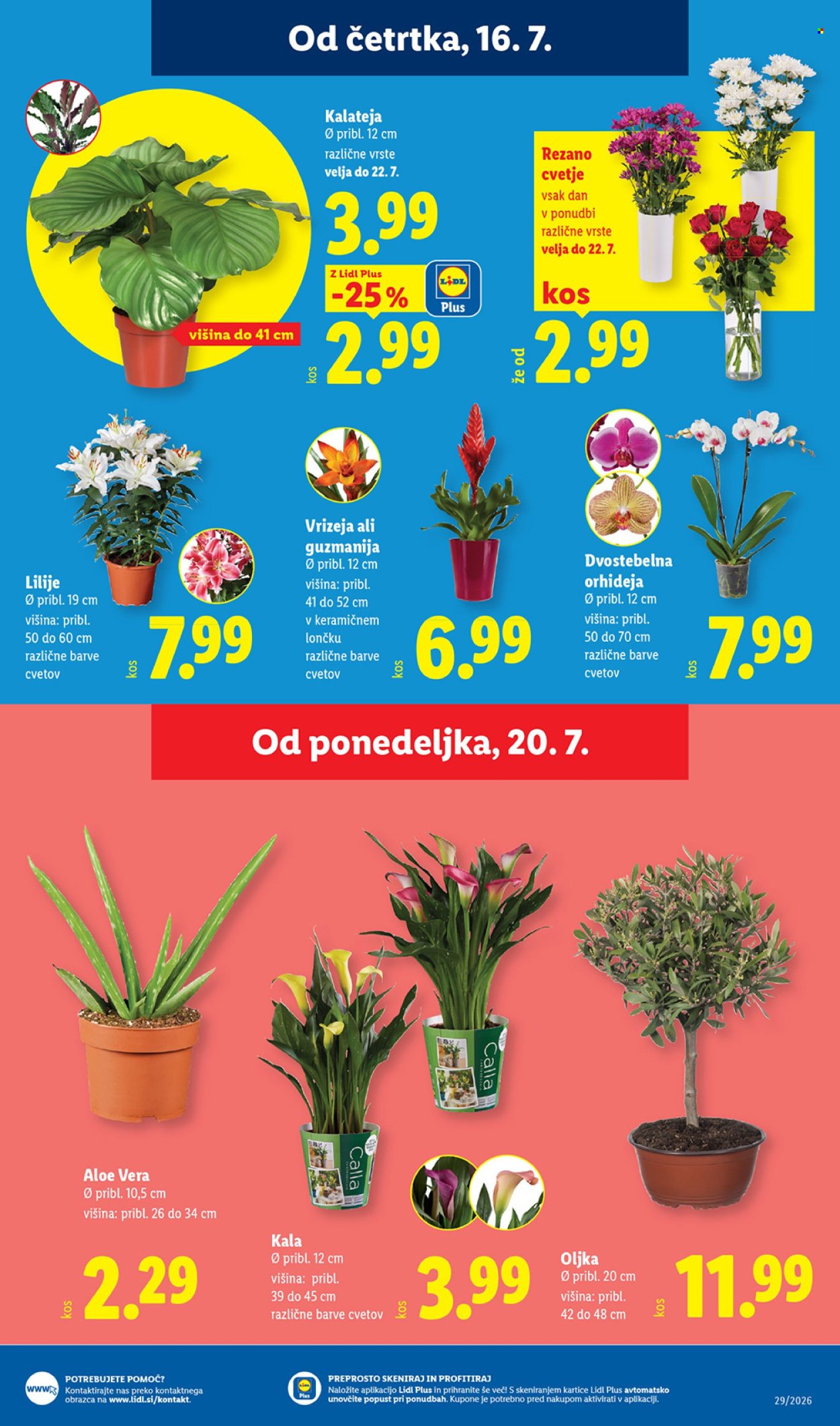 Lidl katalog - 16.7.2026 - 22.7.2026. Stran 29