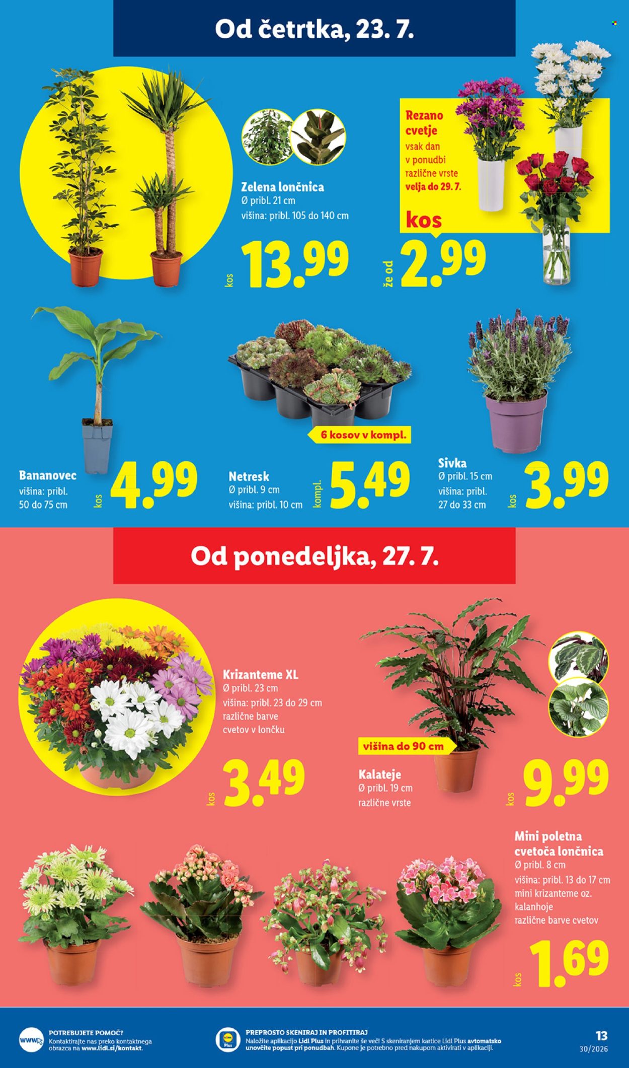 Lidl katalog - 23.7.2026 - 29.7.2026. Stran 31