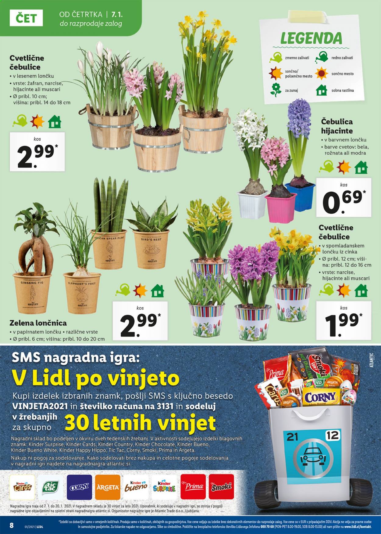 Lidl katalog - 7.1.2021 - 17.1.2021. Stran 8