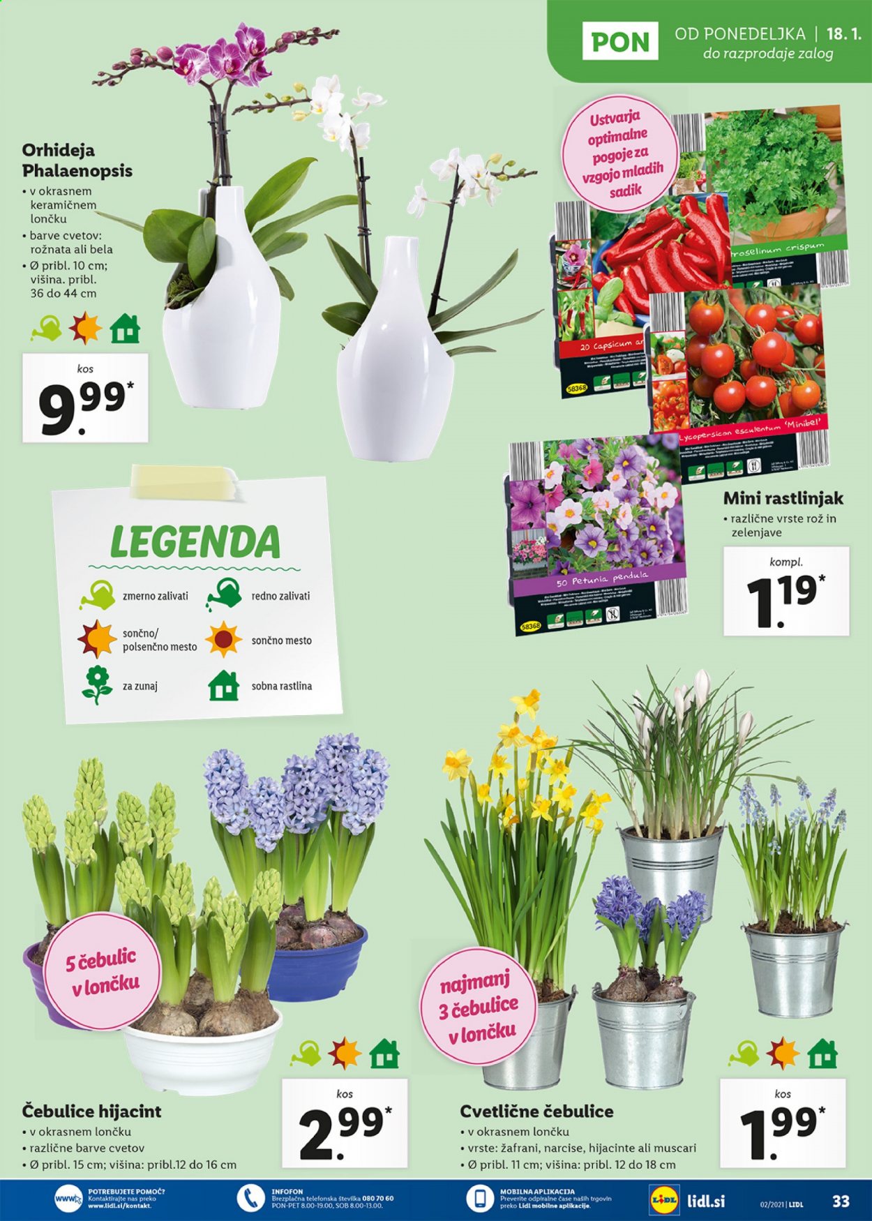 Lidl katalog - 14.1.2021 - 23.1.2021. Stran 33