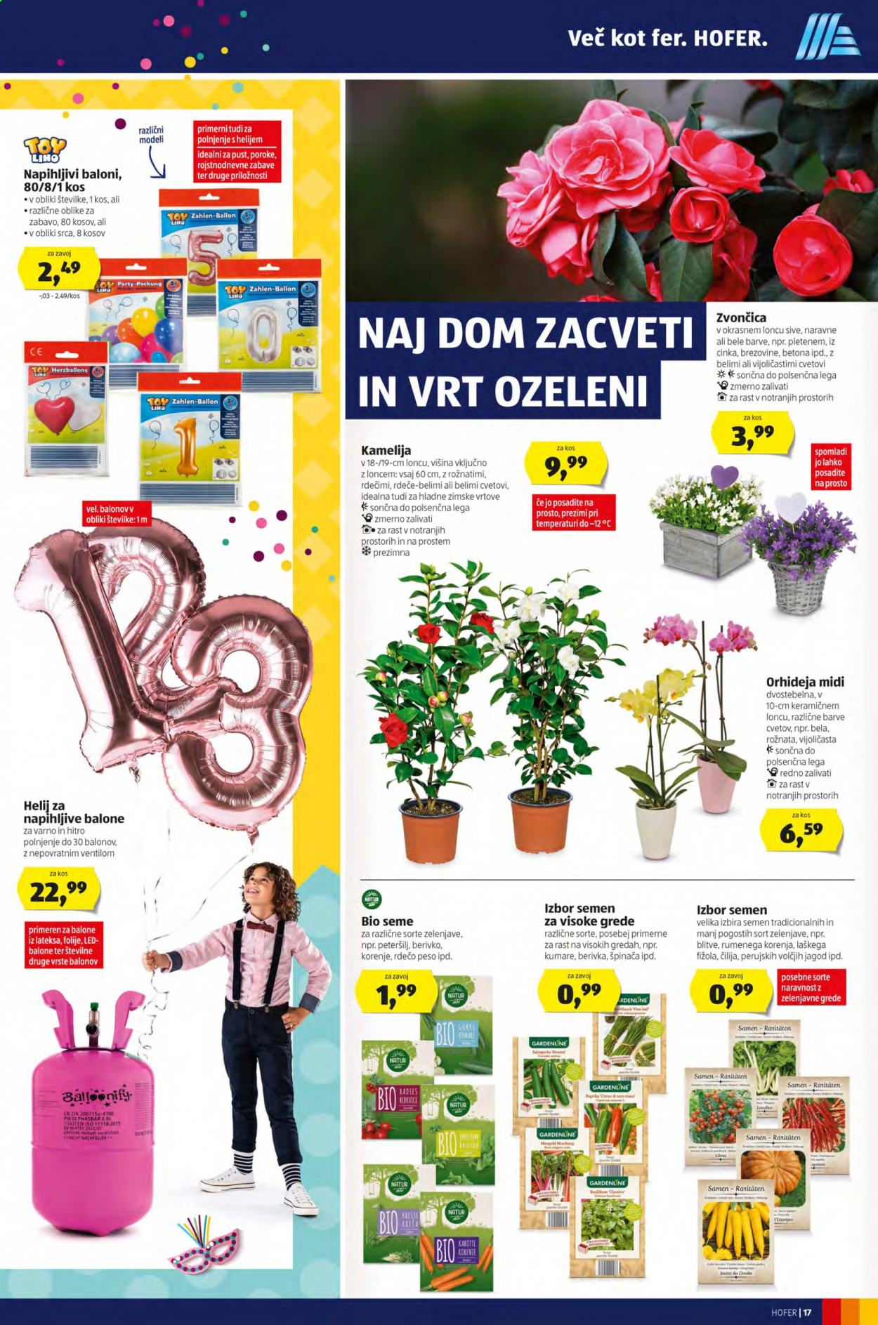 Hofer katalog - 29.1.2021 - 6.2.2021. Stran 17
