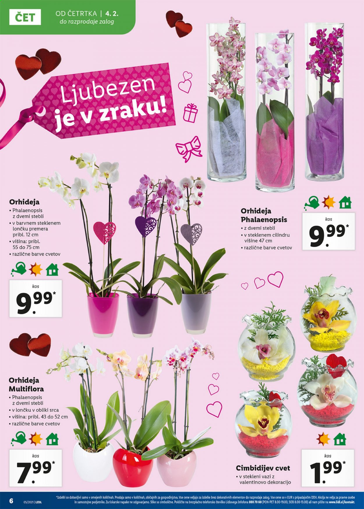 Lidl katalog - 4.2.2021 - 14.2.2021. Stran 6