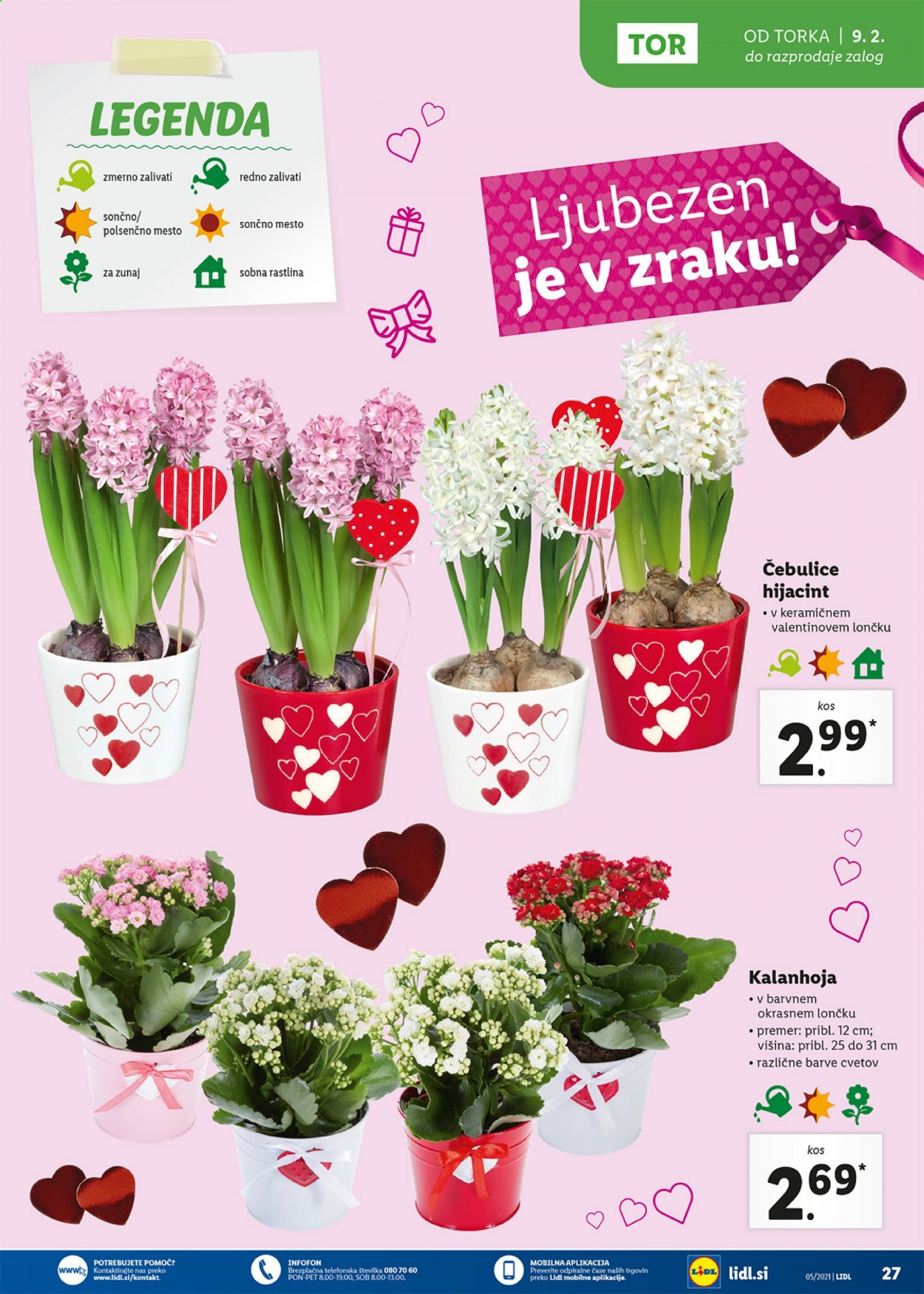 Lidl katalog - 4.2.2021 - 14.2.2021. Stran 27