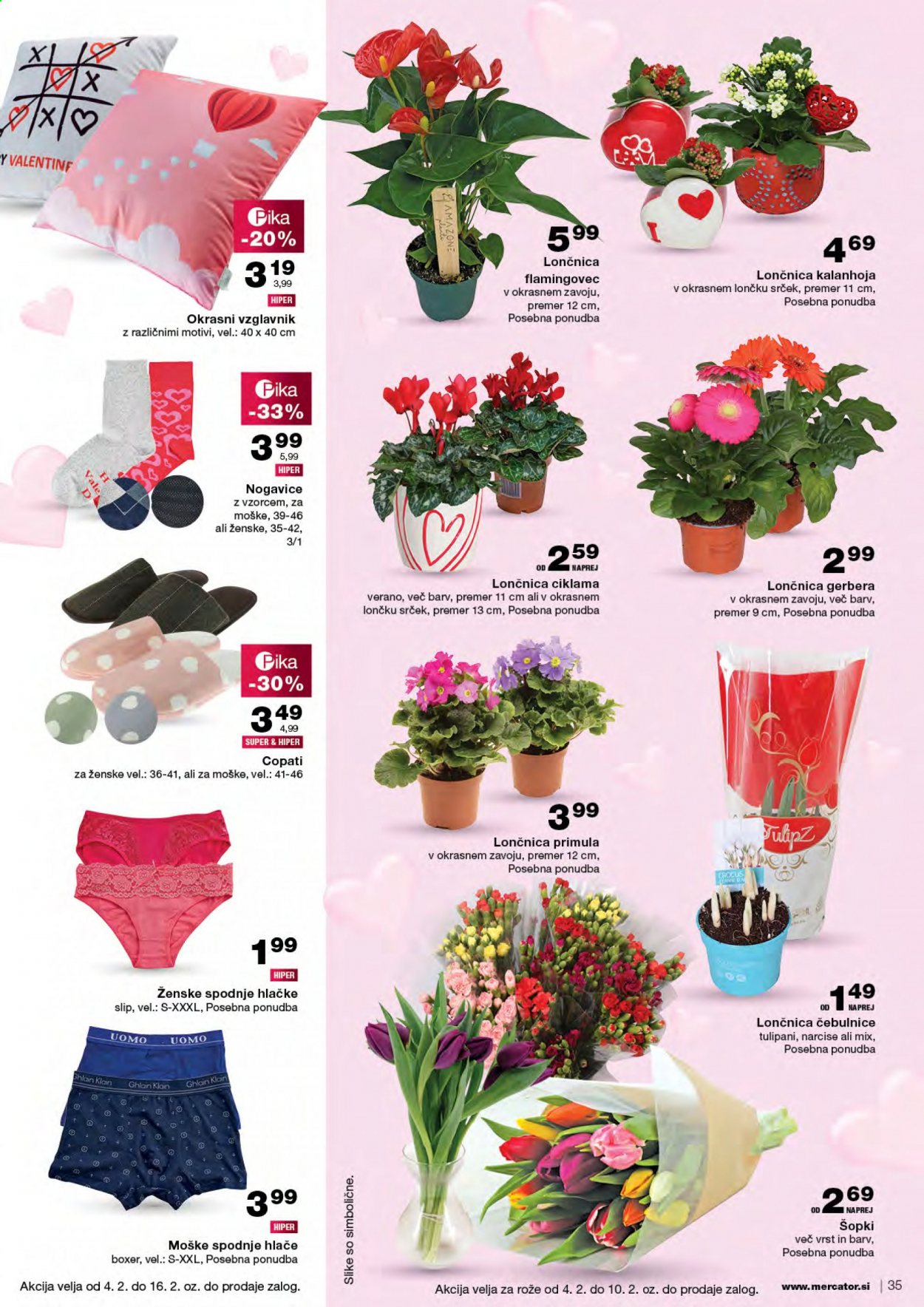 Mercator katalog - 4.2.2021 - 10.2.2021. Stran 35