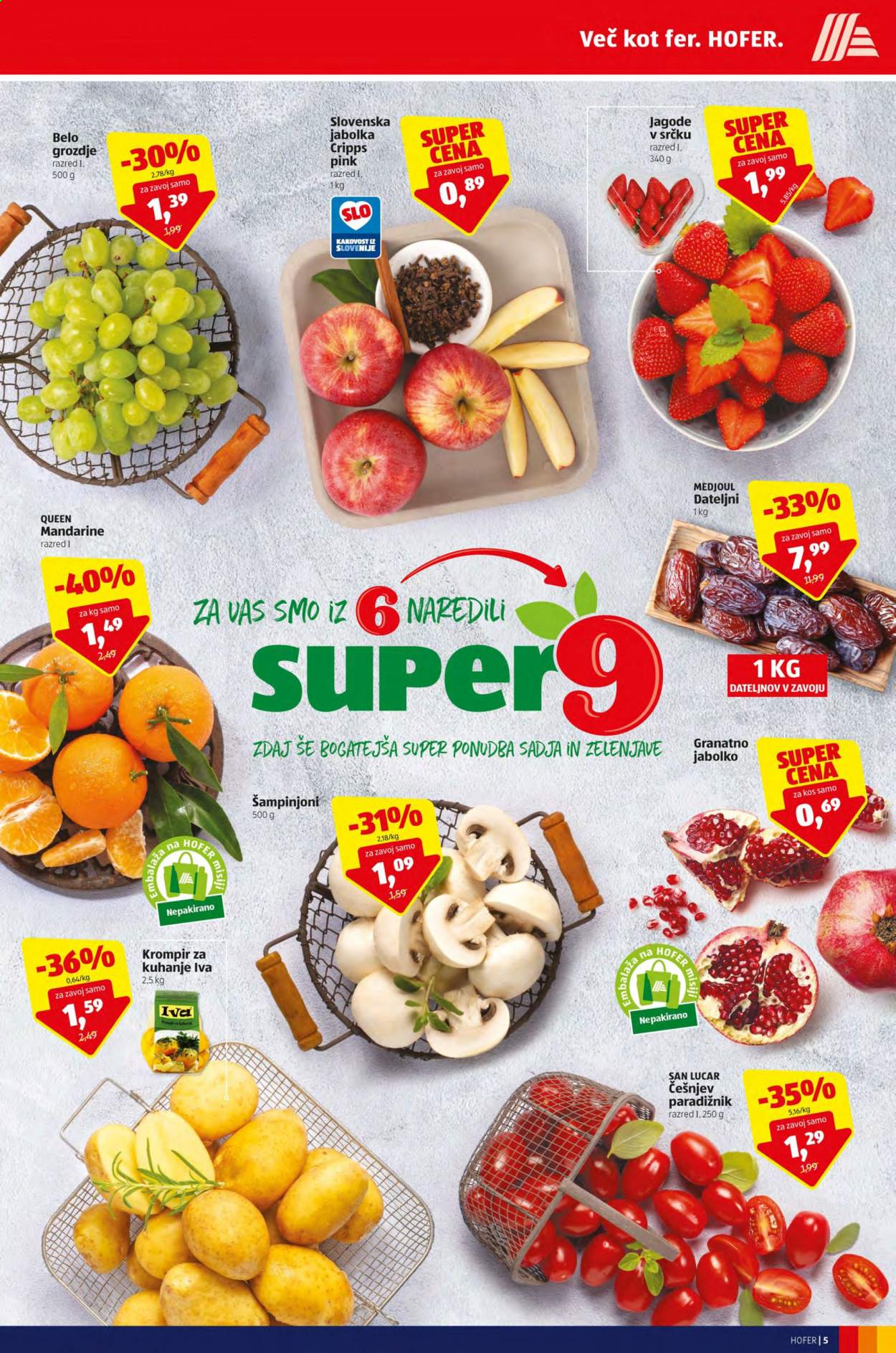 Hofer katalog - 5.2.2021 - 13.2.2021. Stran 5
