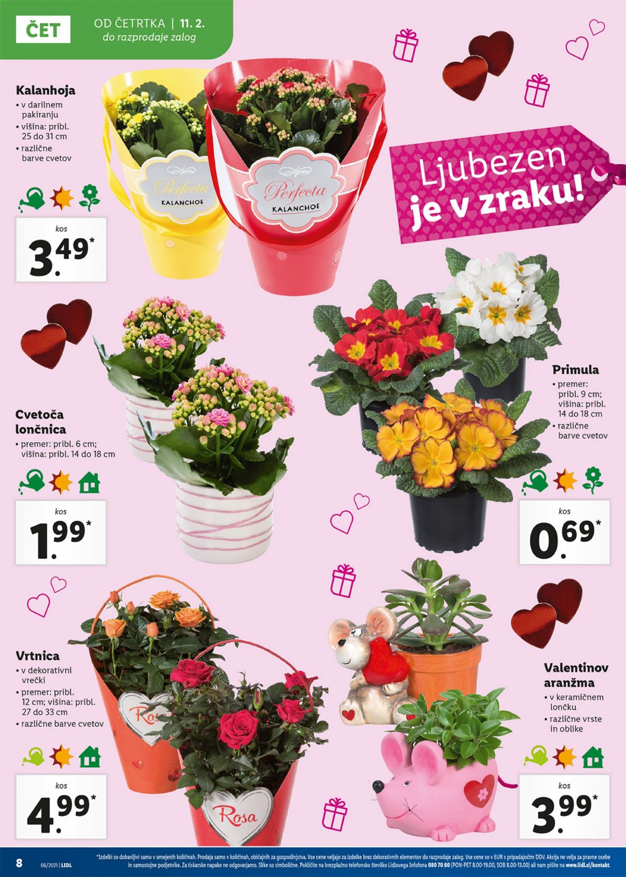 Lidl katalog - 11.2.2021 - 21.2.2021. Stran 8