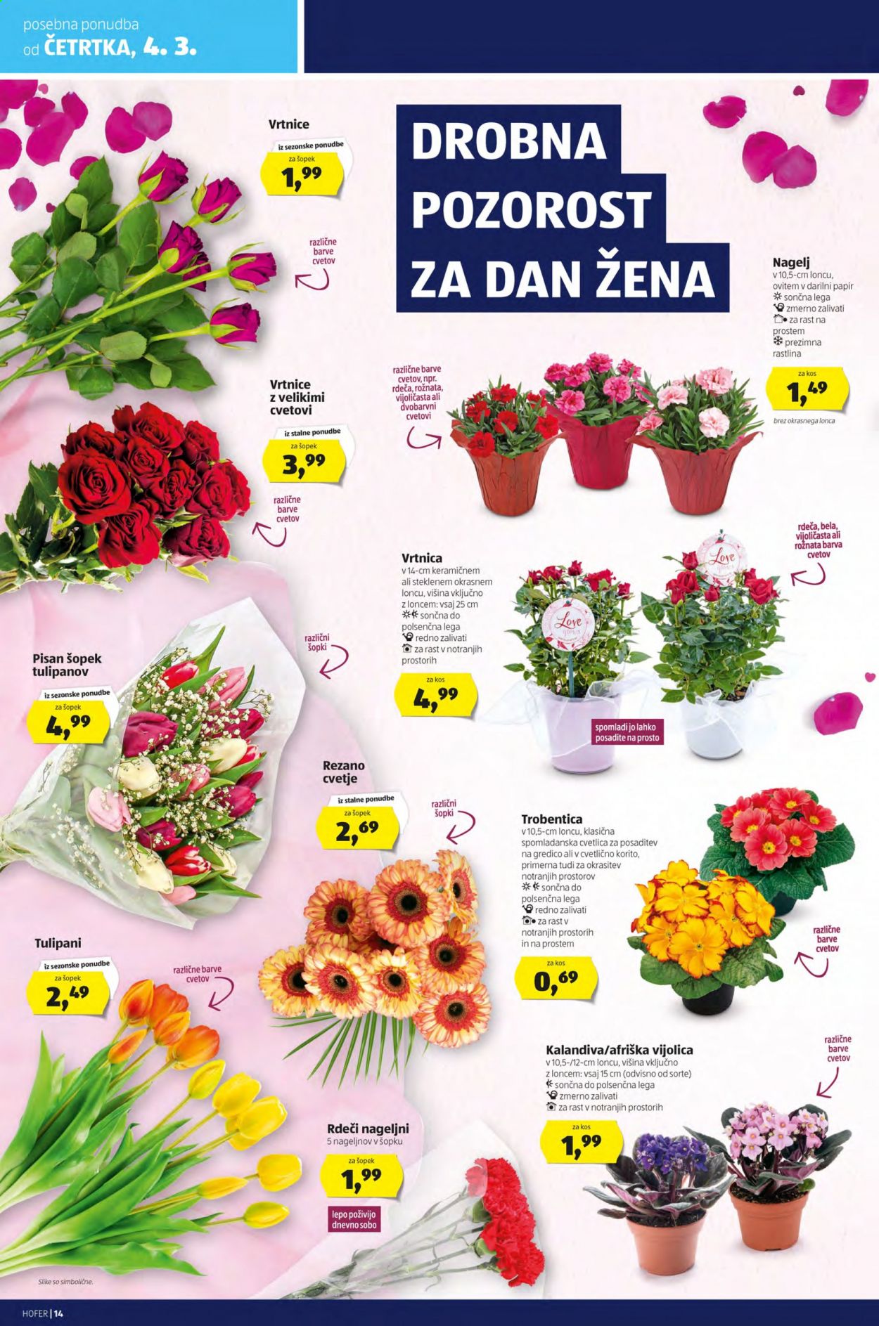 Hofer katalog - 26.2.2021 - 6.3.2021. Stran 14