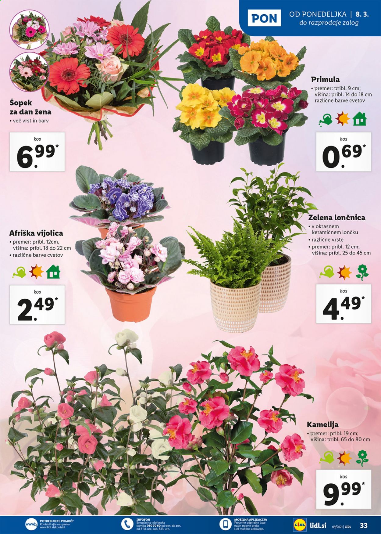 Lidl katalog - 4.3.2021 - 14.3.2021. Stran 33