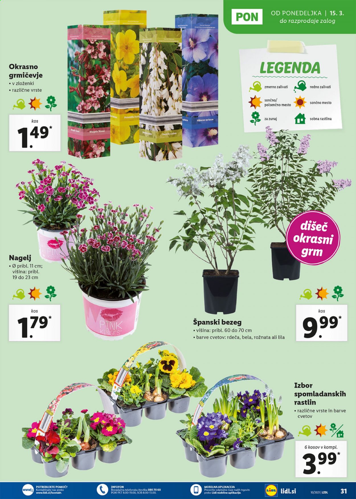 Lidl katalog - 11.3.2021 - 21.3.2021. Stran 31