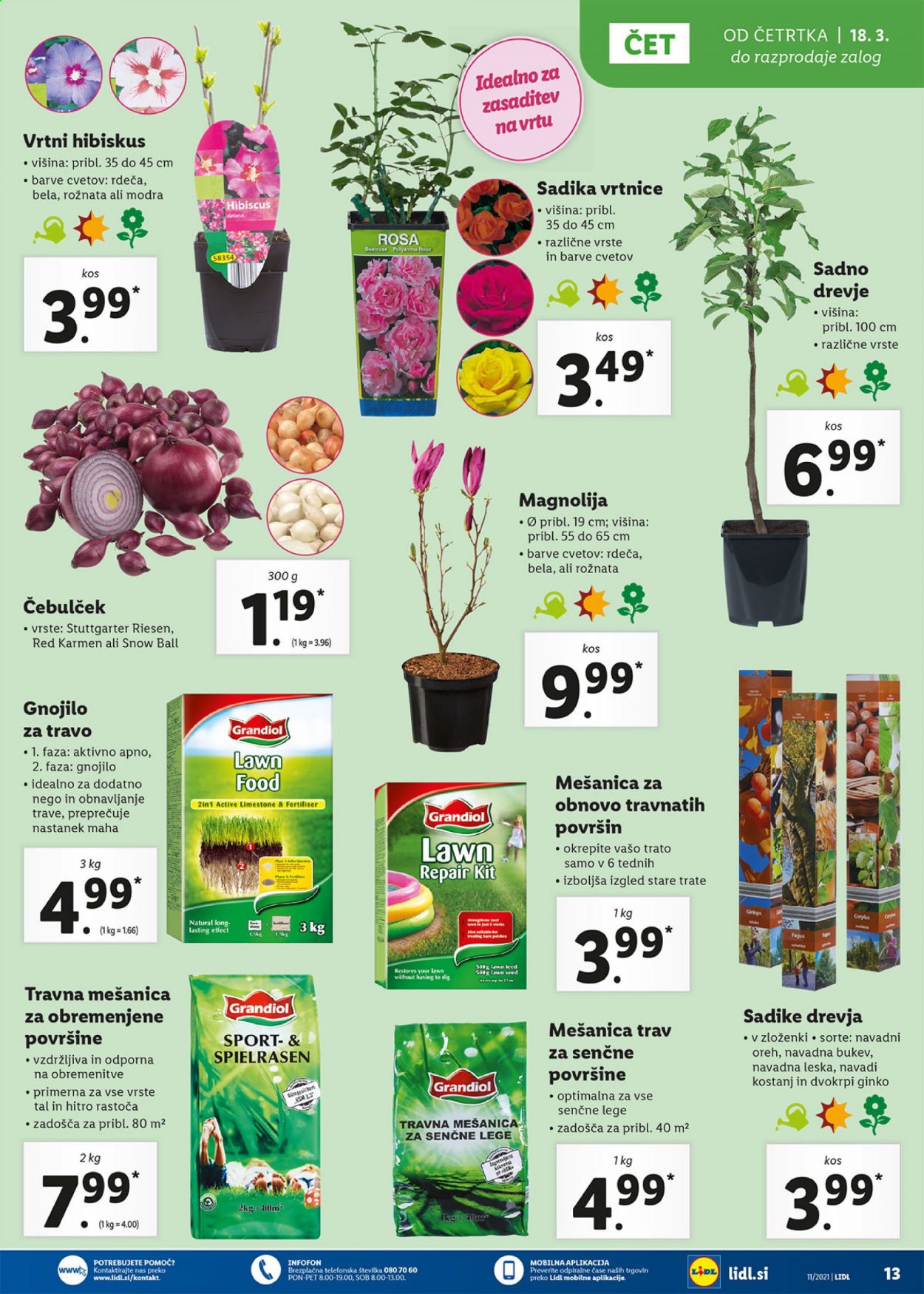 Lidl katalog - 18.3.2021 - 28.3.2021. Stran 13