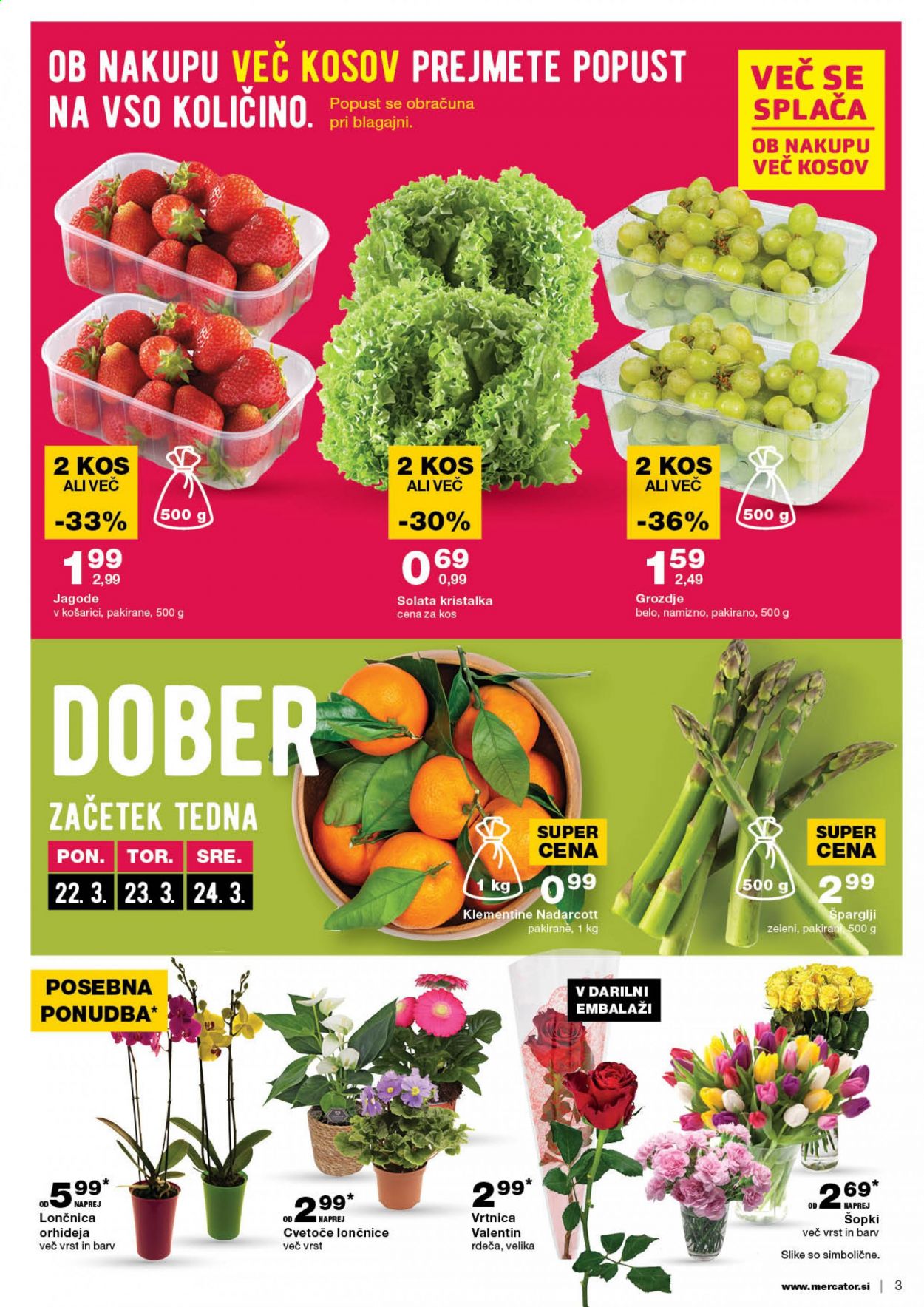 Mercator katalog - 18.3.2021 - 24.3.2021. Stran 3
