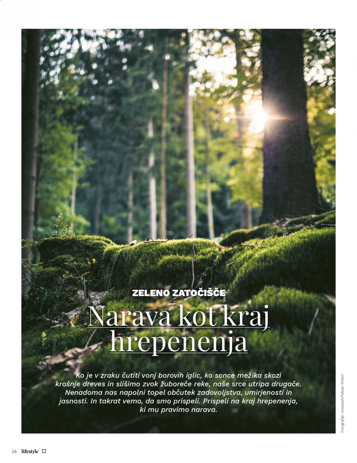 Müller katalog. Stran 24