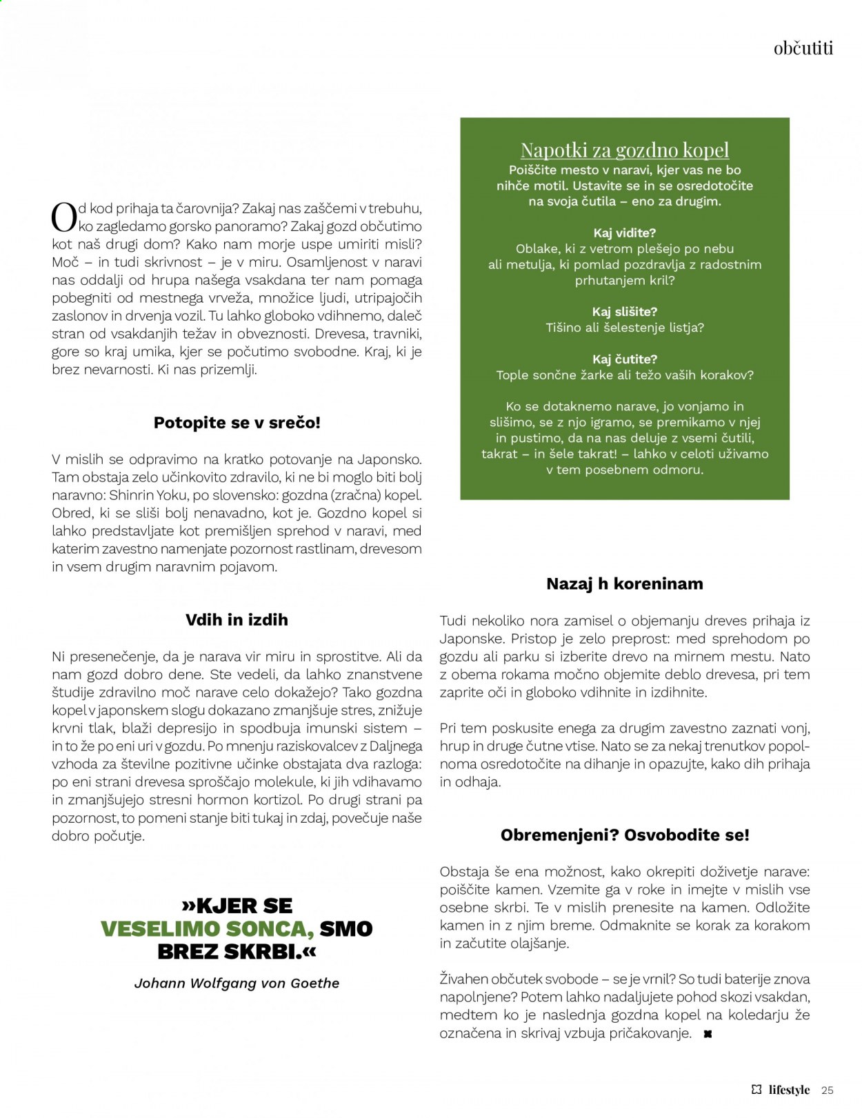 Müller katalog. Stran 25