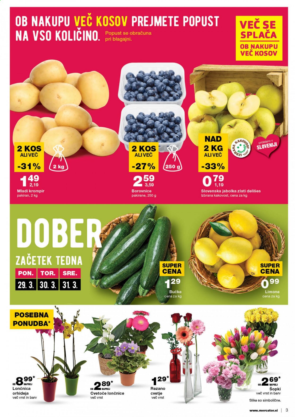 Mercator katalog - 25.3.2021 - 31.3.2021. Stran 3