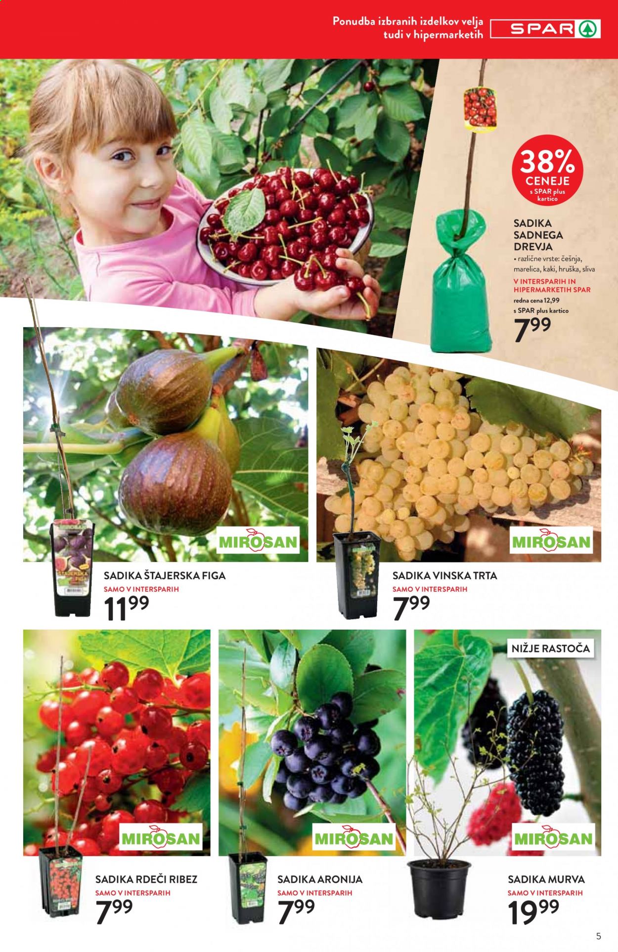 SPAR katalog - 31.3.2021 - 13.4.2021. Stran 5